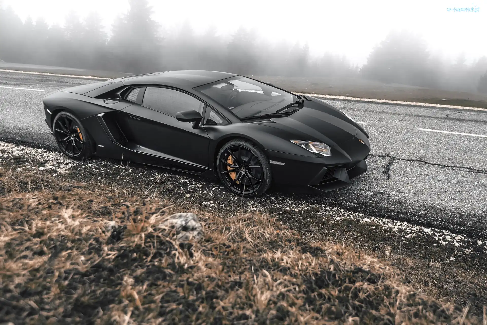 Lamborghini, Droga, Adventador, Mgła, Drzewa