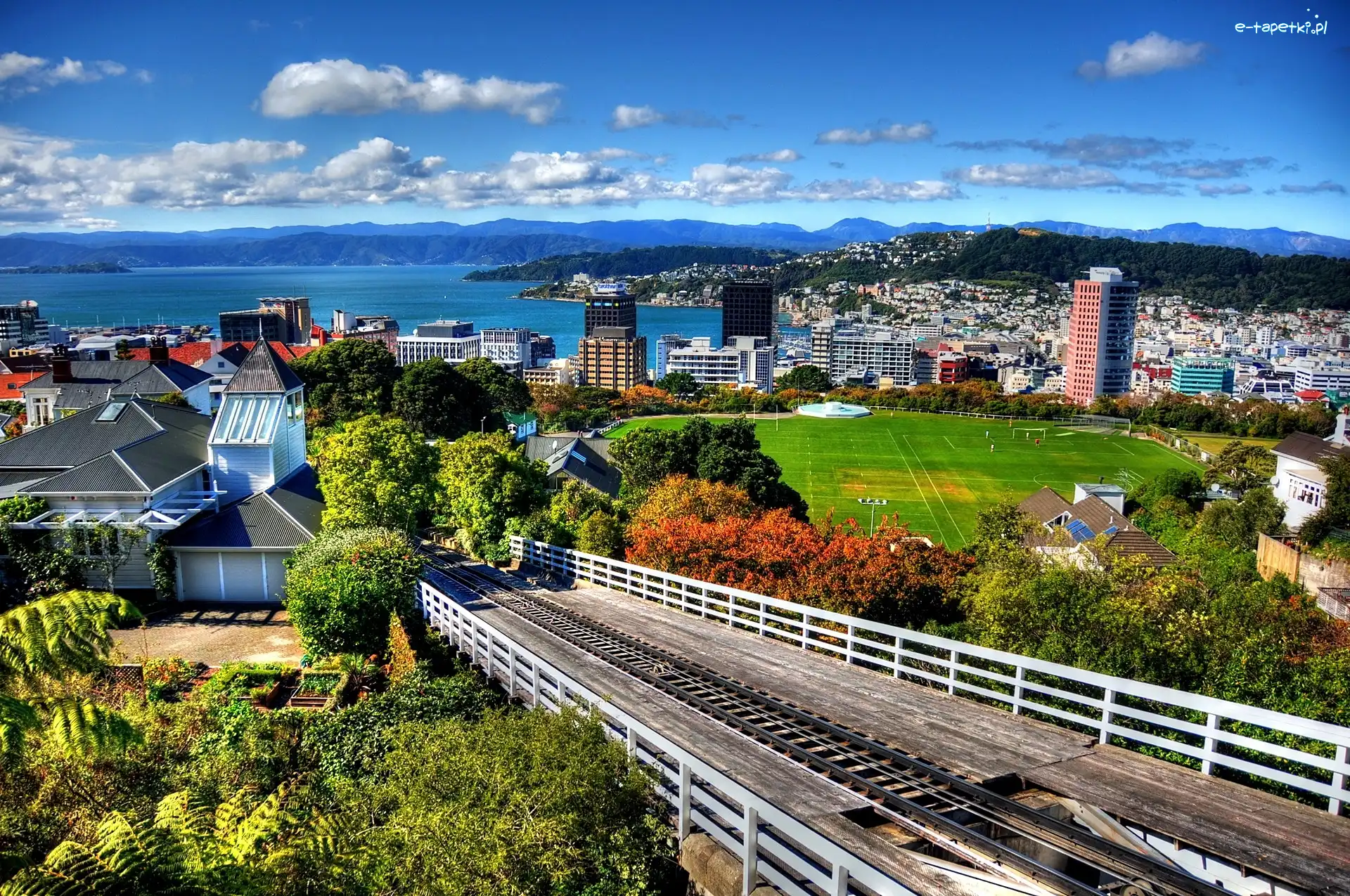 Nowa Zelandia, Miasta Wellington, Panorama