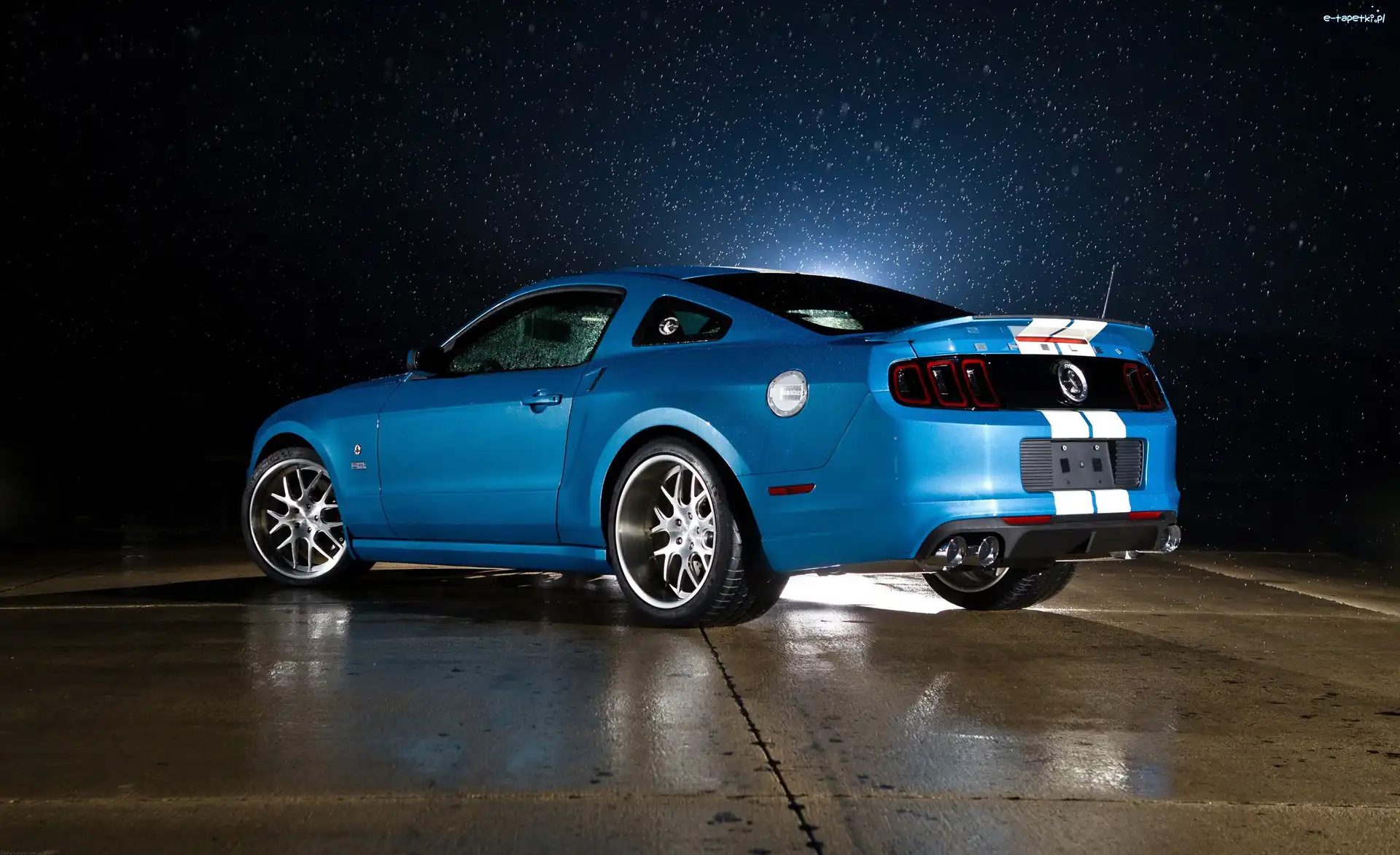 Cobra, GT500, Ford Shelby