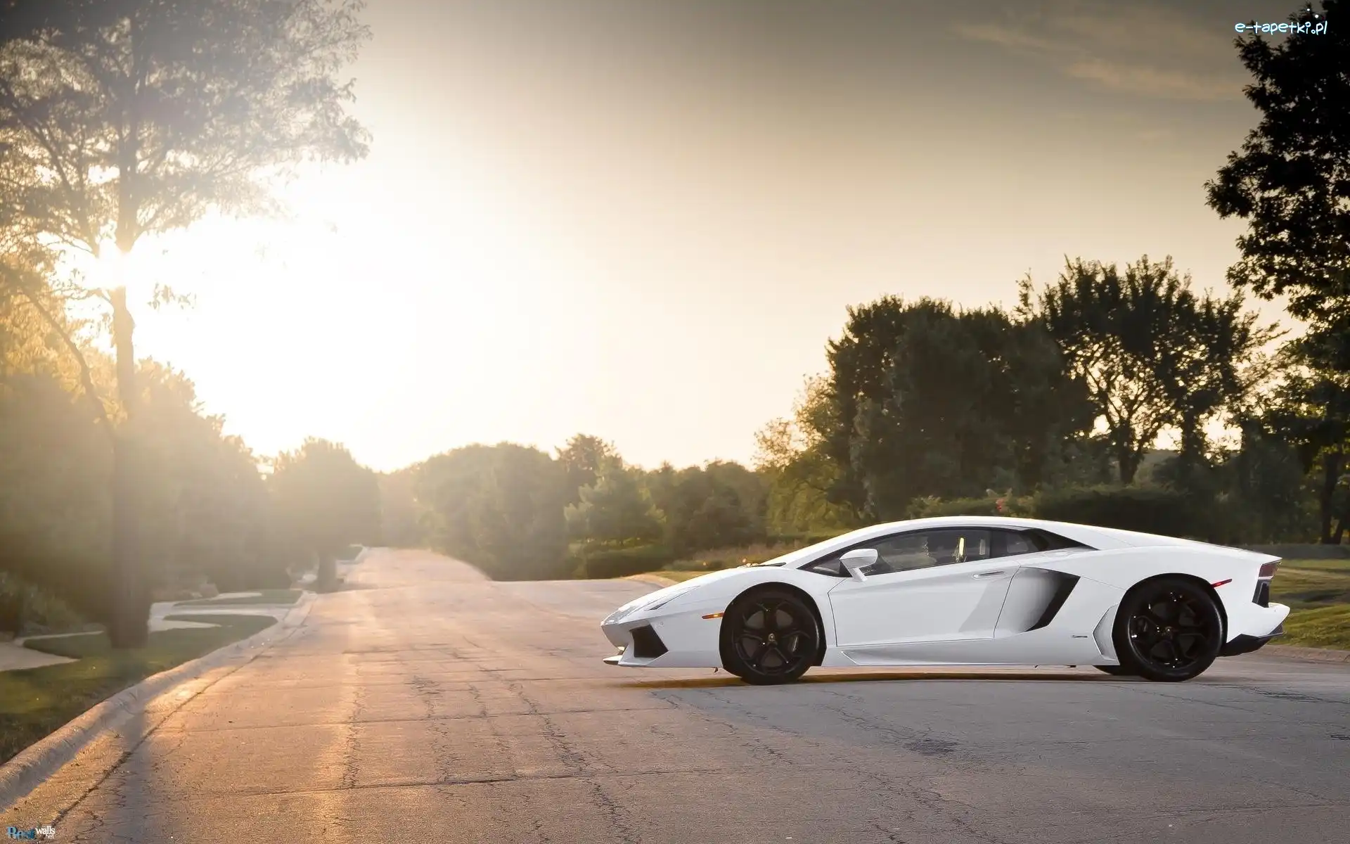 Lamborghini Aventador, Białe