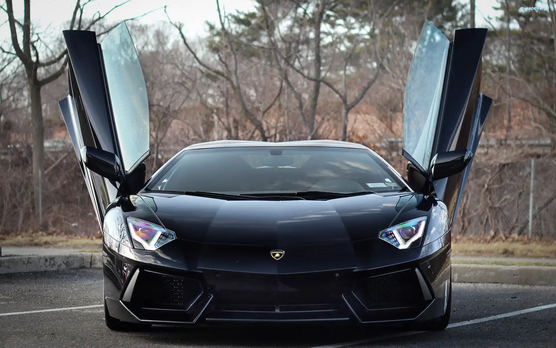 Aventador, Lamborghini