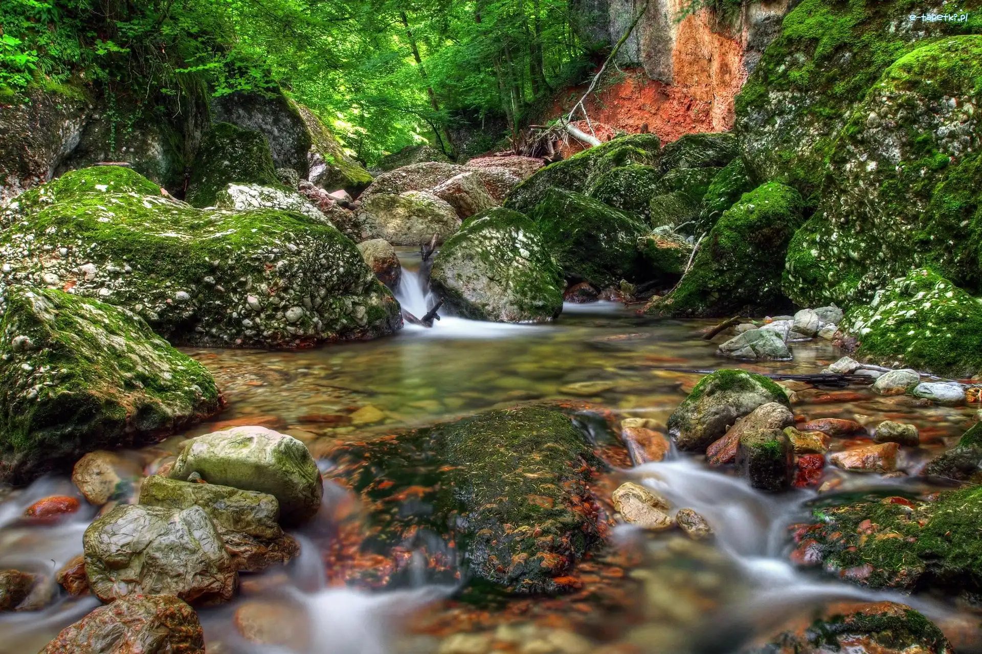 Kamienie, Rzeka