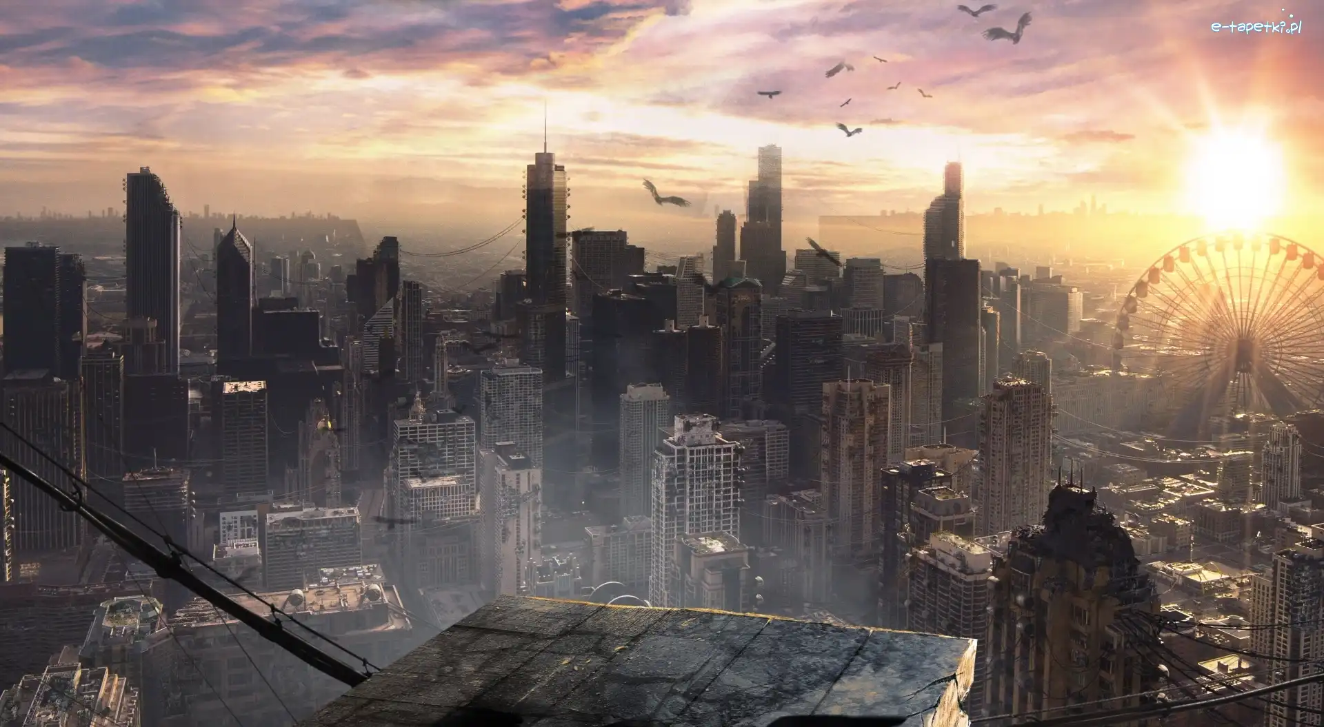 Chicago, Niezgodna
