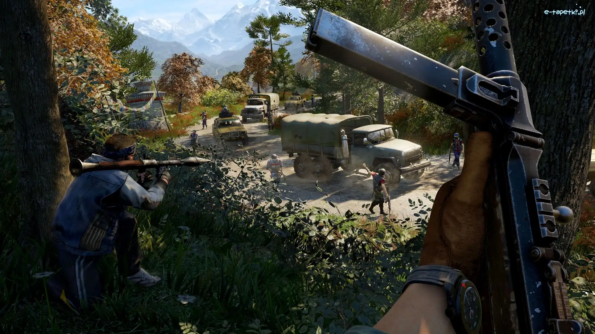 Samochód, Broń, Far Cry 4