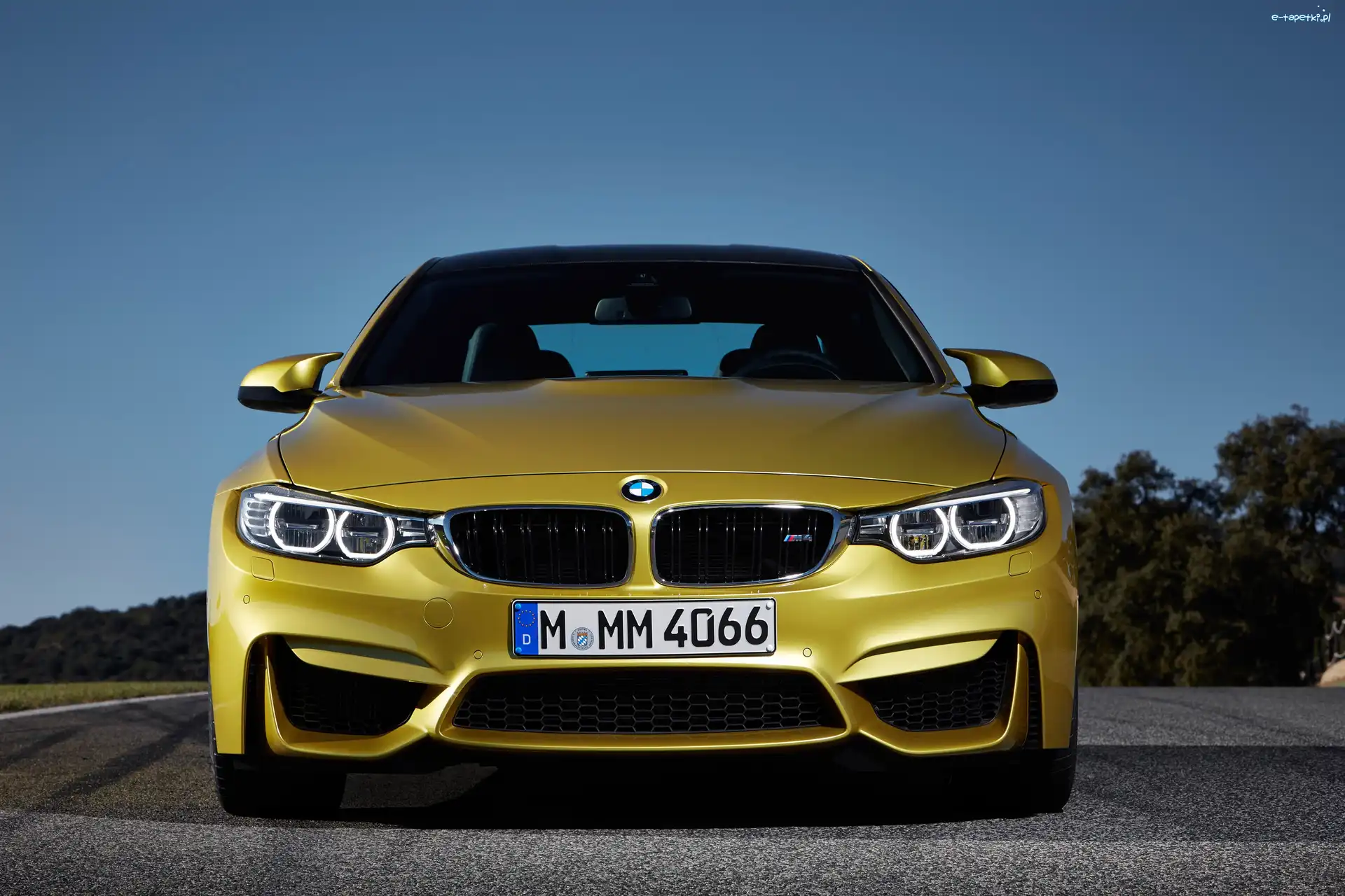 Grill, Ringi, BMW M4