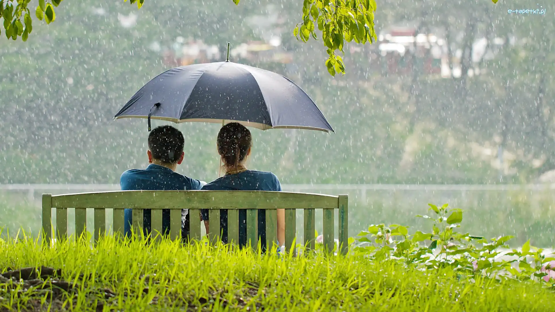 Park, Ławka, Deszcz, Parasol, Para
