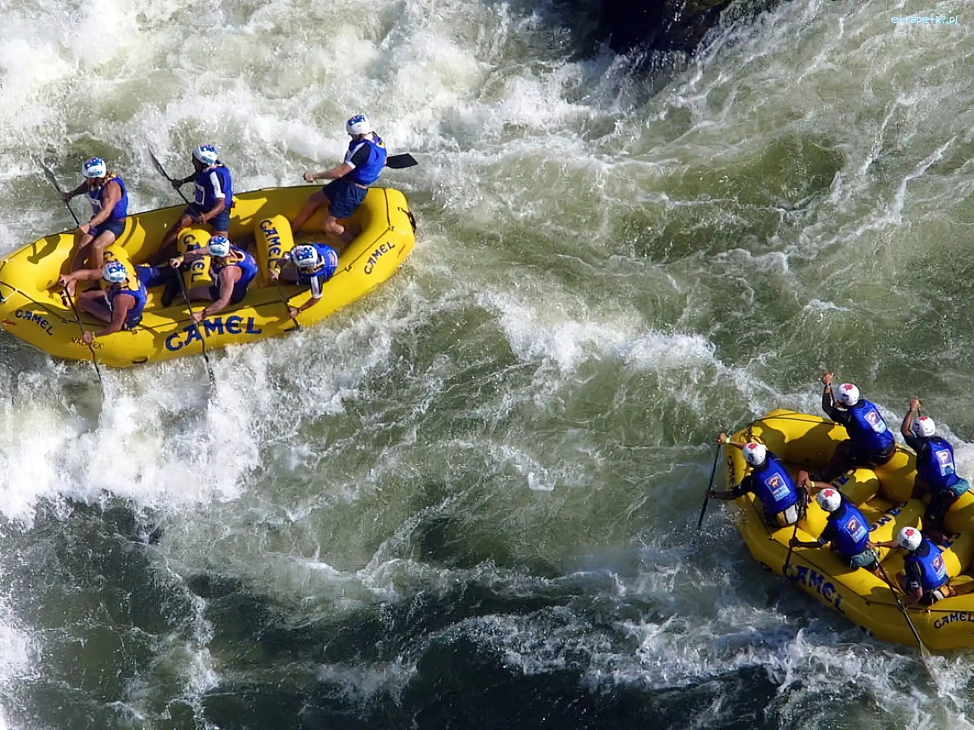 pontony, rzeka, wiosła , camel, spływ, Rafting