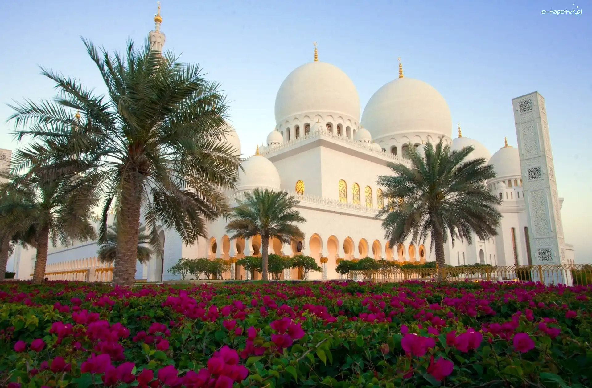Zjednoczone Emiraty Arabskie, Sheikh Zayed, Meczet, Kwiaty, Palmy