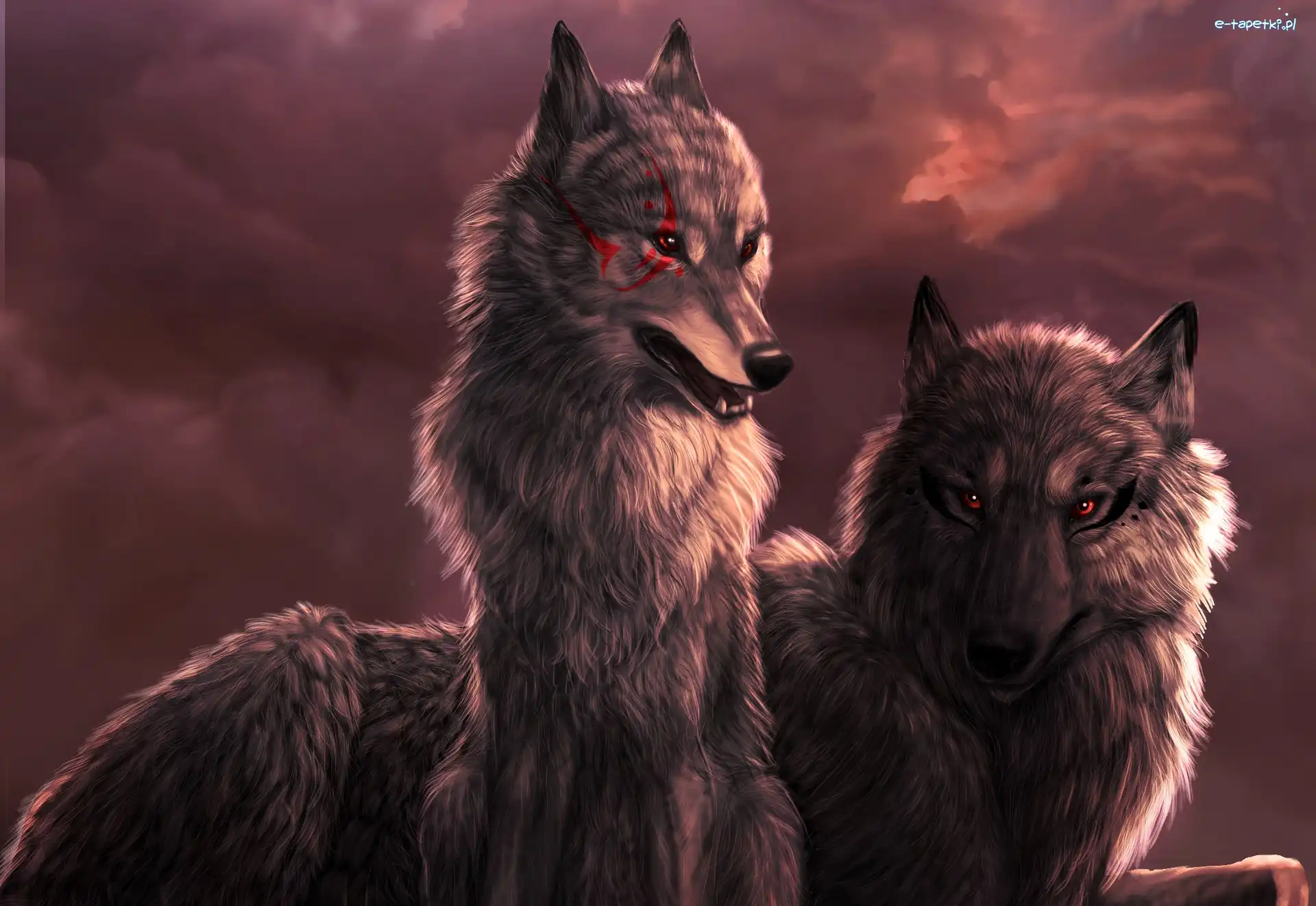 Fractalius, Wilki