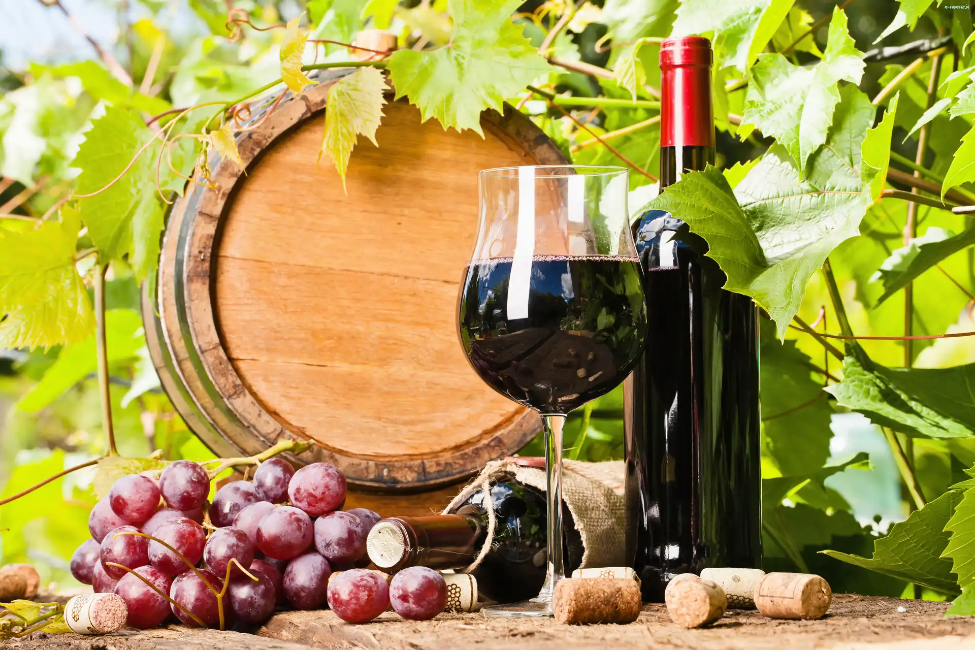 Wino, Winogrona