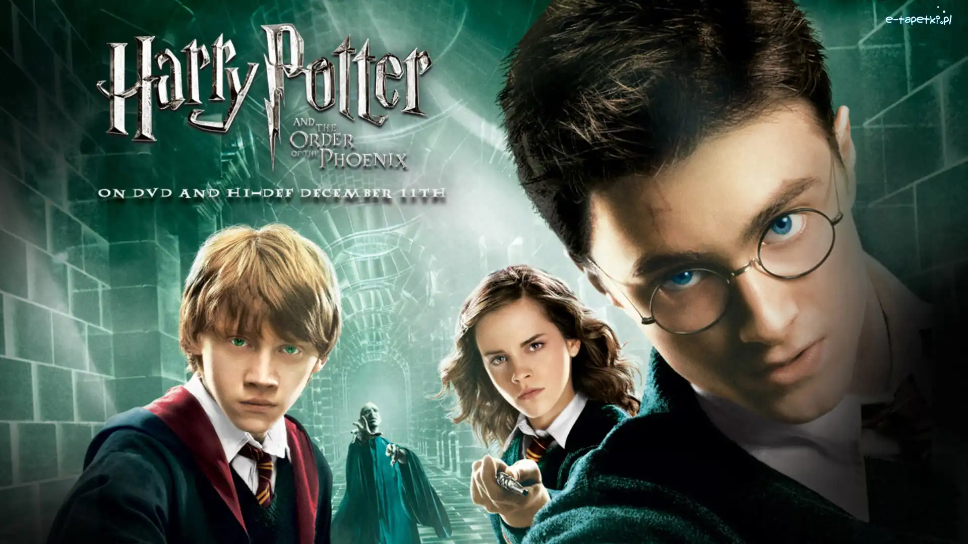 Bohaterowie, Potter, Harry