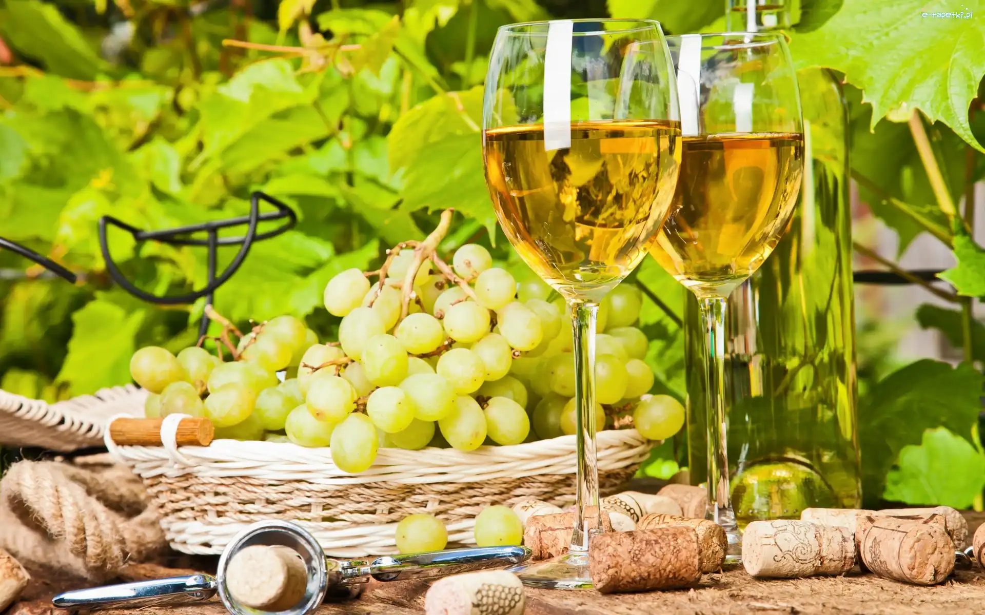 Wino, Winogrona