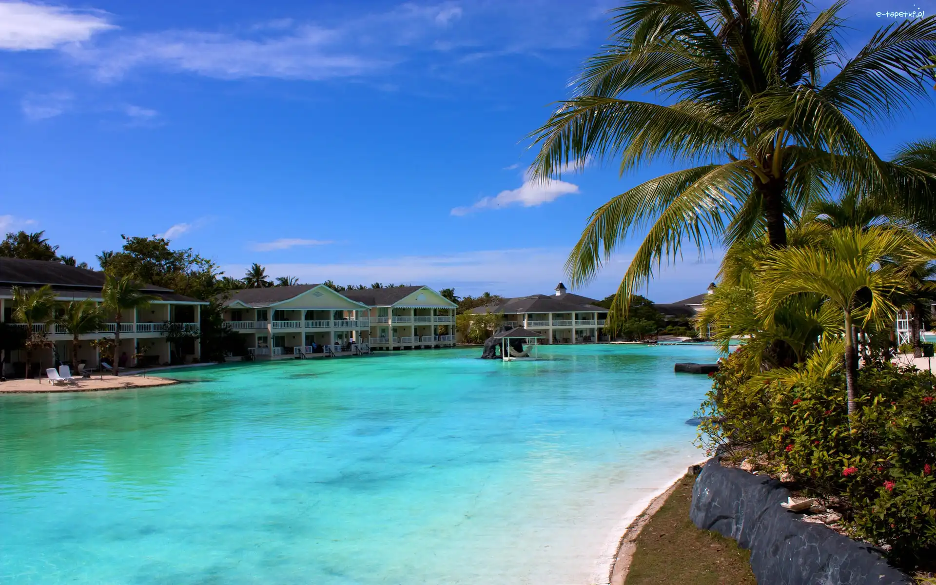 Palmy, Morze, Hotel