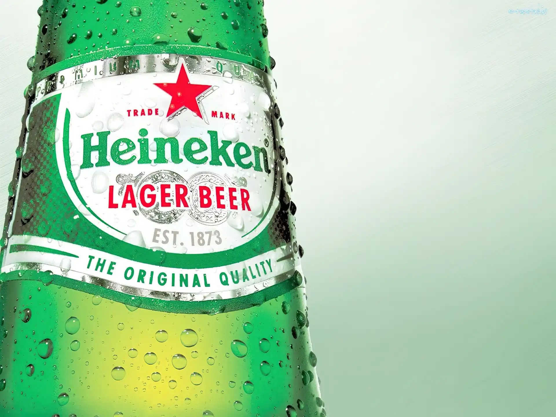 Lager beer, Piwo