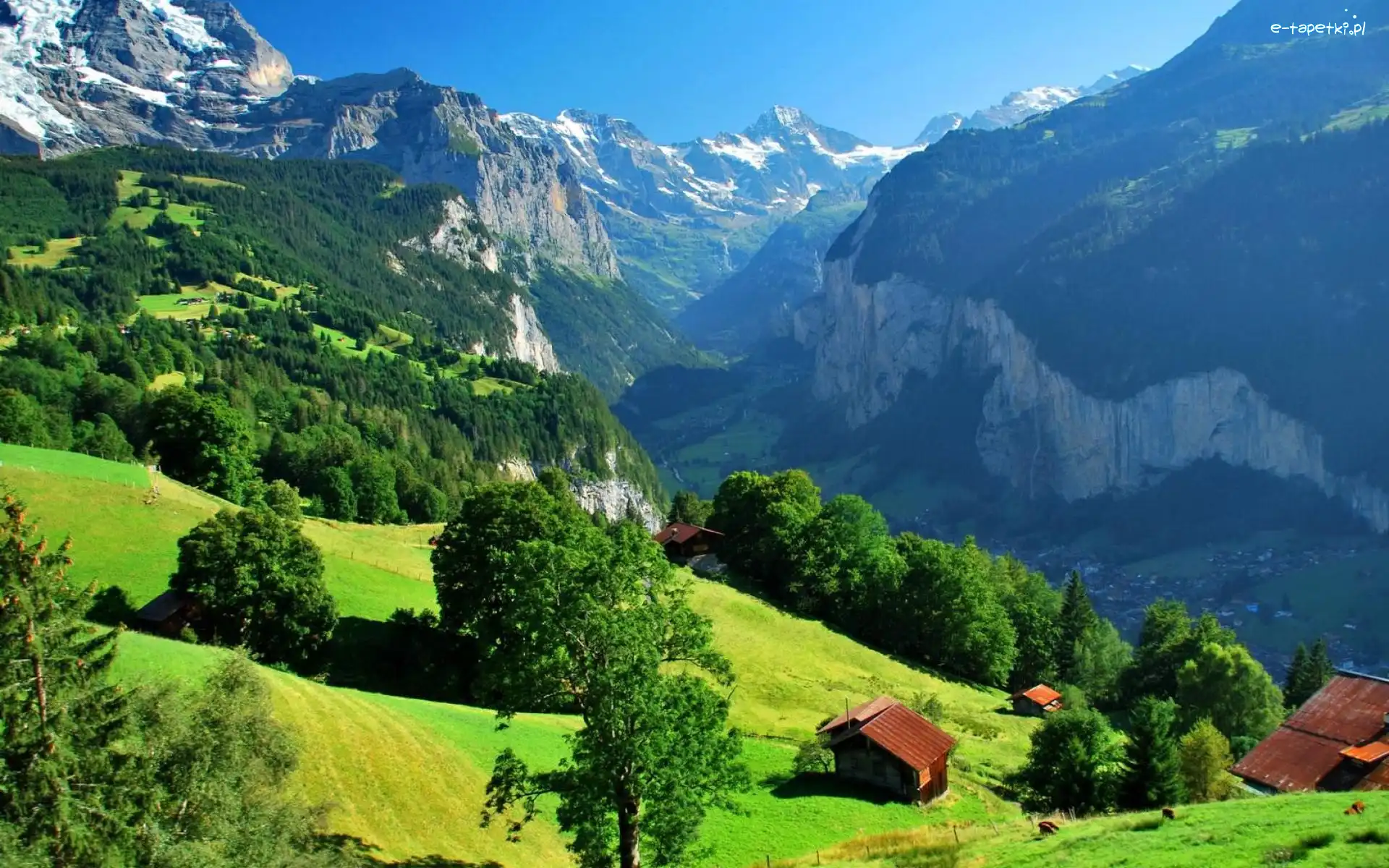 Domy, Szwajcaria, Wengen, Góry