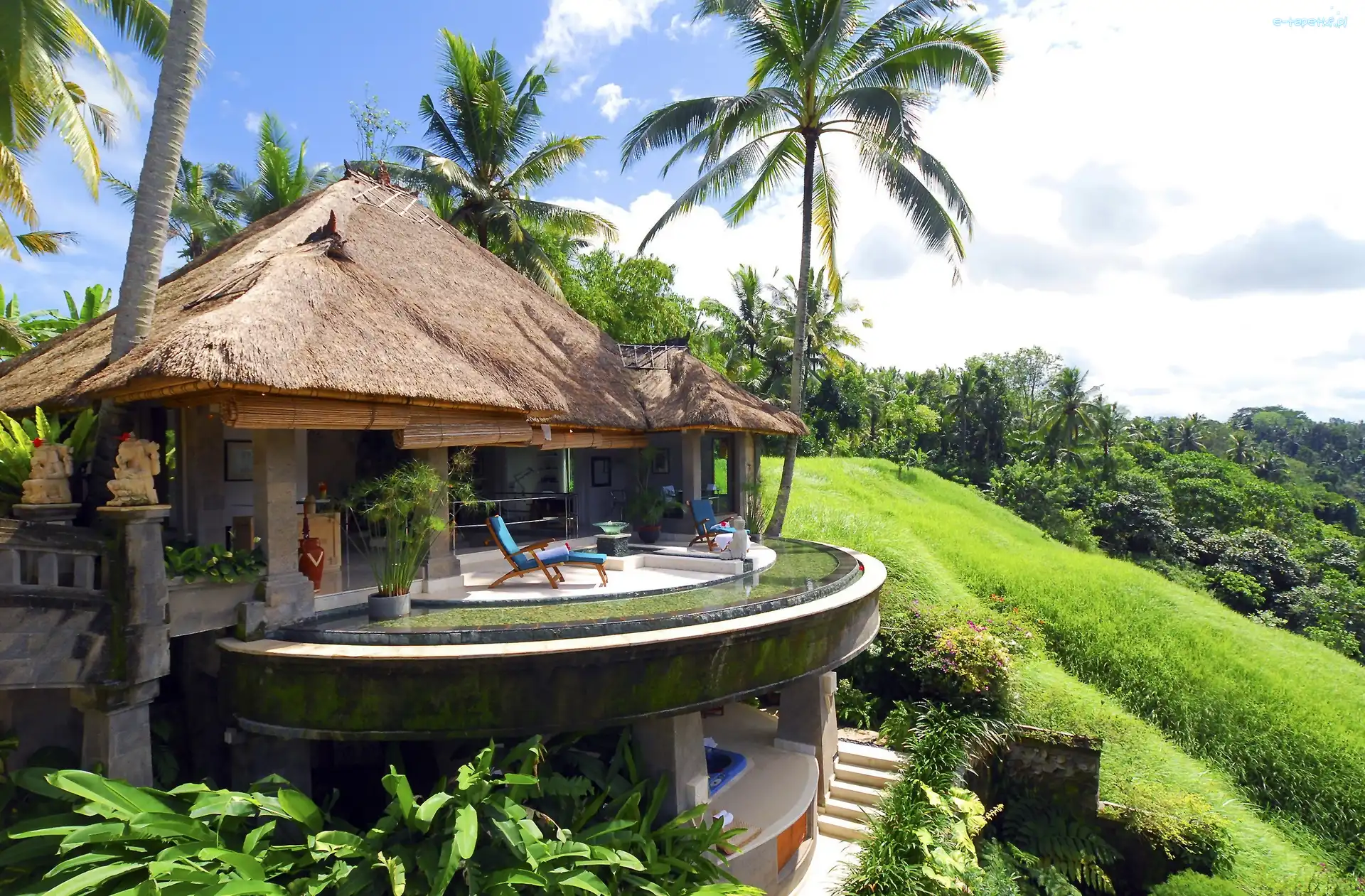 Indonezja, Bali, Wyspa, Palmy, Hotel