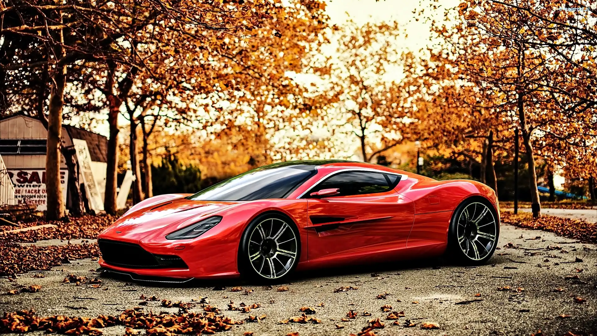 Droga, Czerwony, Drzewa, Jesień, DBC, Aston Martin