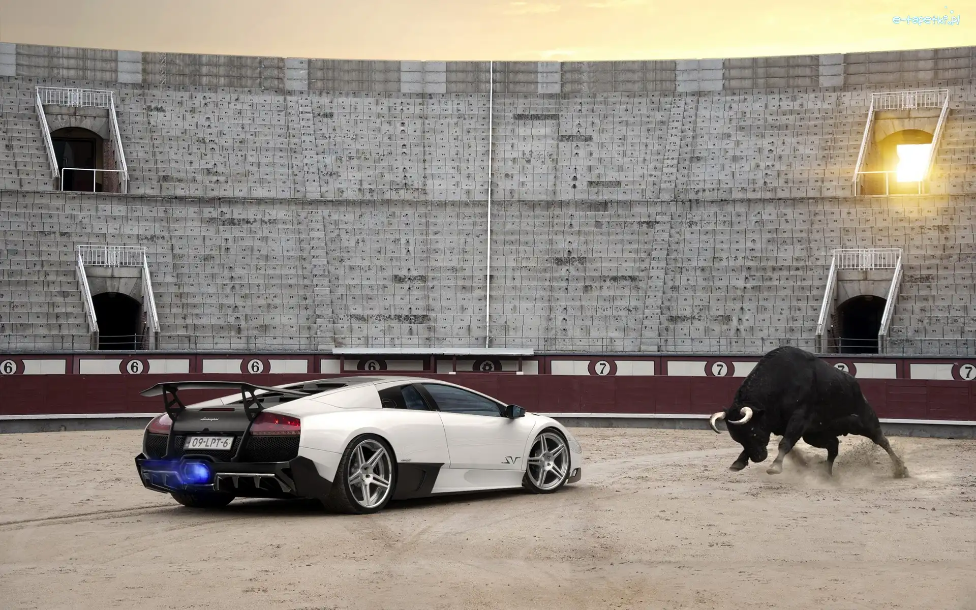 Murcielago, Byk, Stadion, Lamborghini