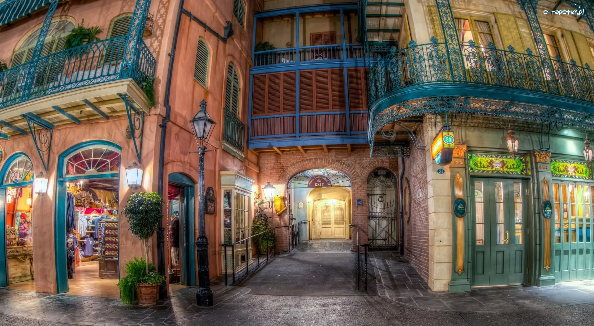Disneyland, Dom