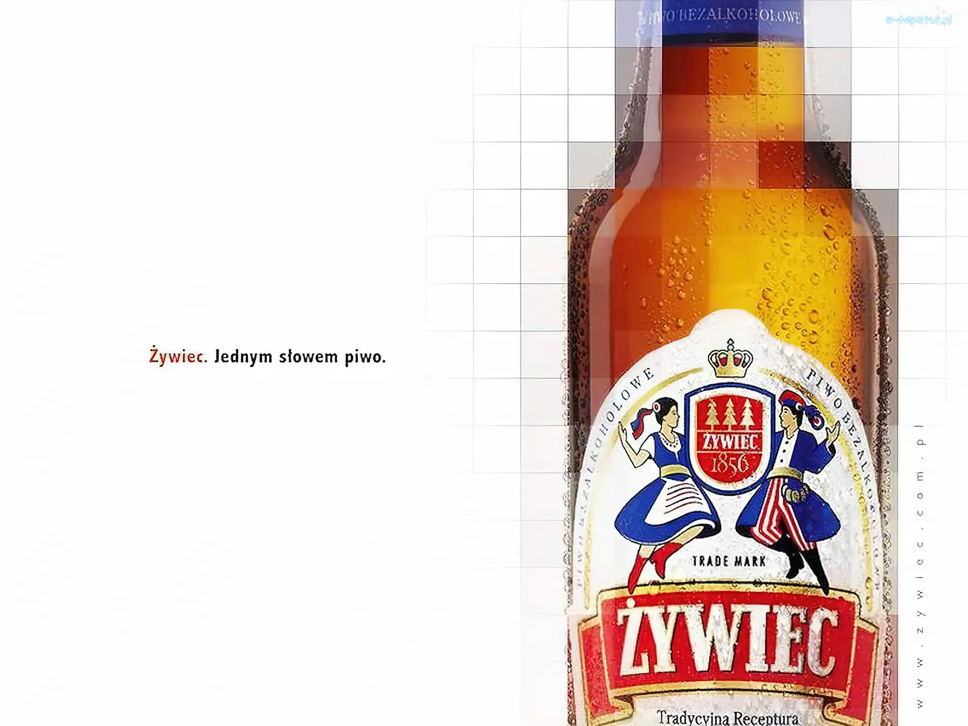 Piwo Żywiec, Piwo