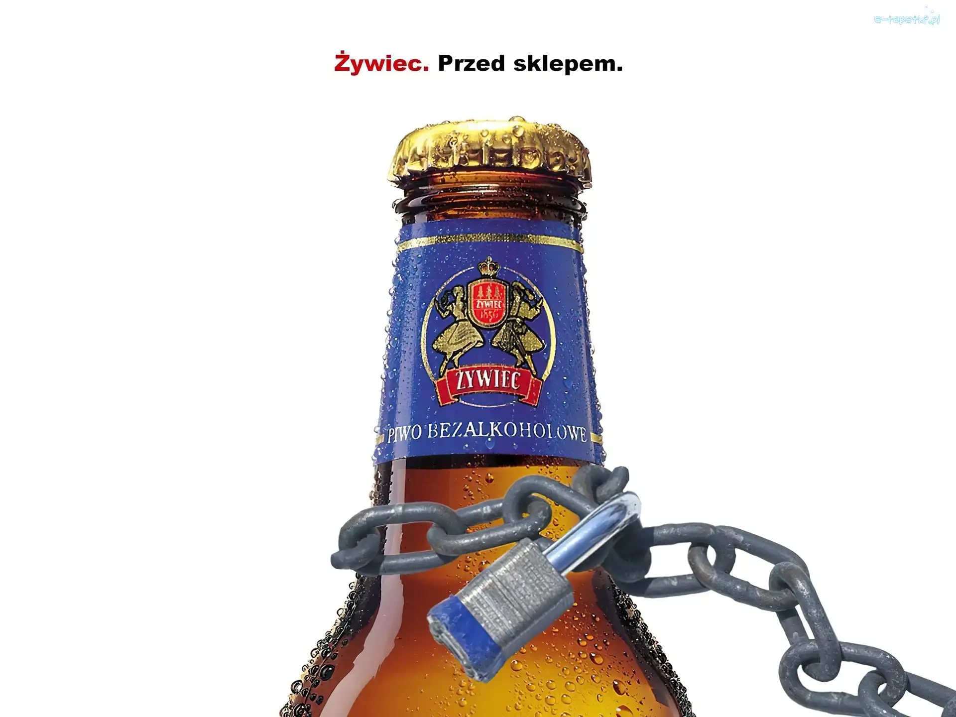 łańcuch, Piwo Żywiec, Piwo