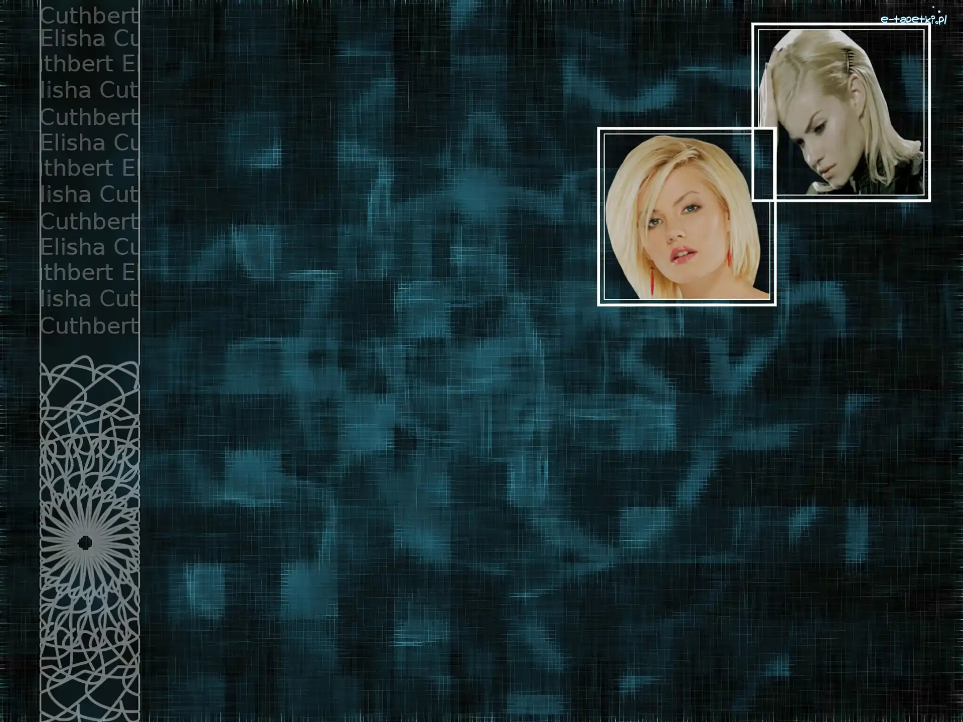 Elisha Cuthbert