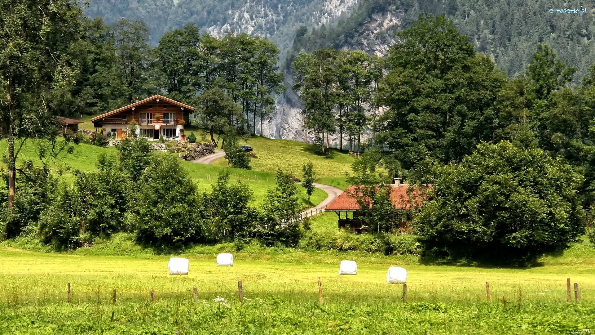 Góry, Pole, Drzewa, HDR, Dom