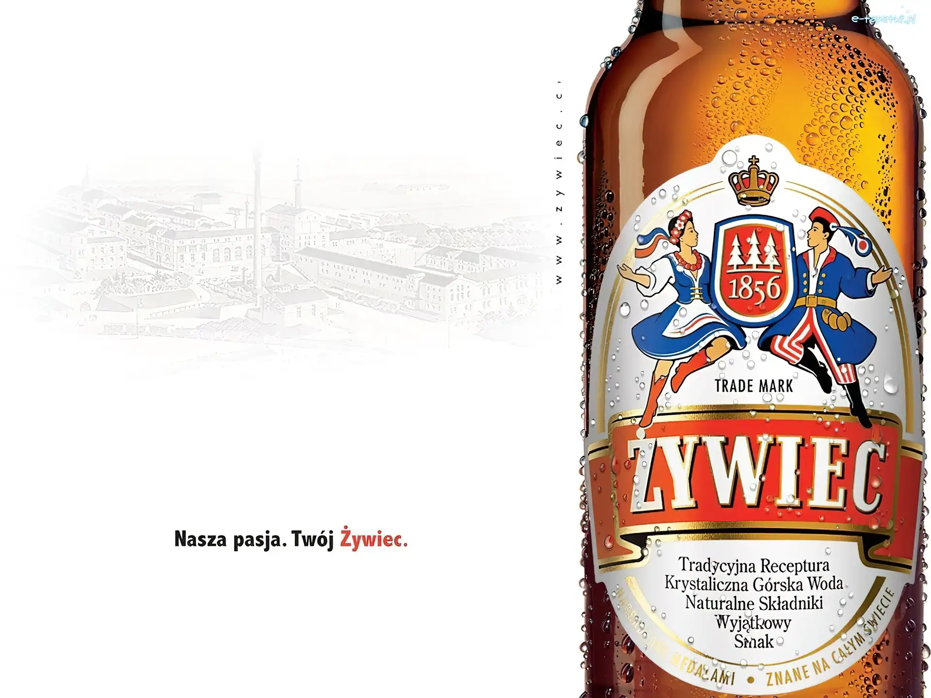 Piwo Żywiec, Piwo