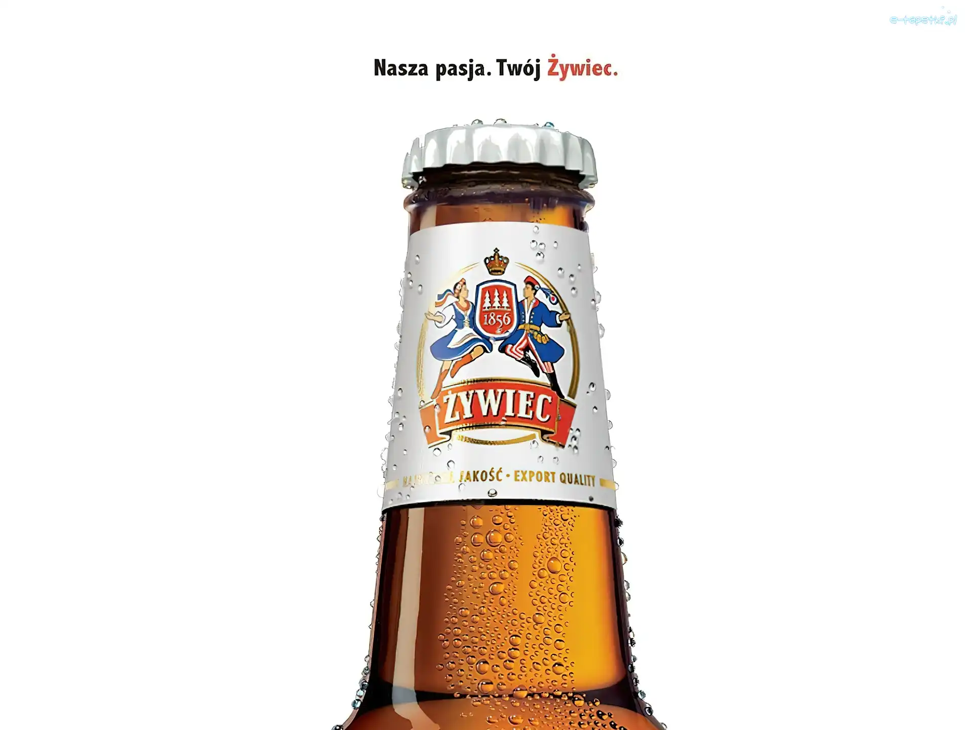 szyjka, Piwo Żywiec, Piwo