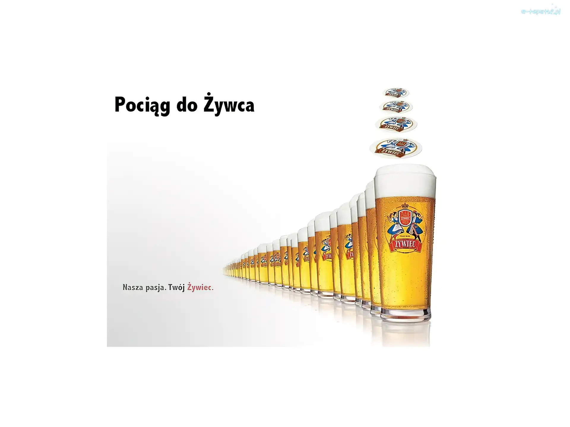 pokale, Piwo Żywiec, Piwo