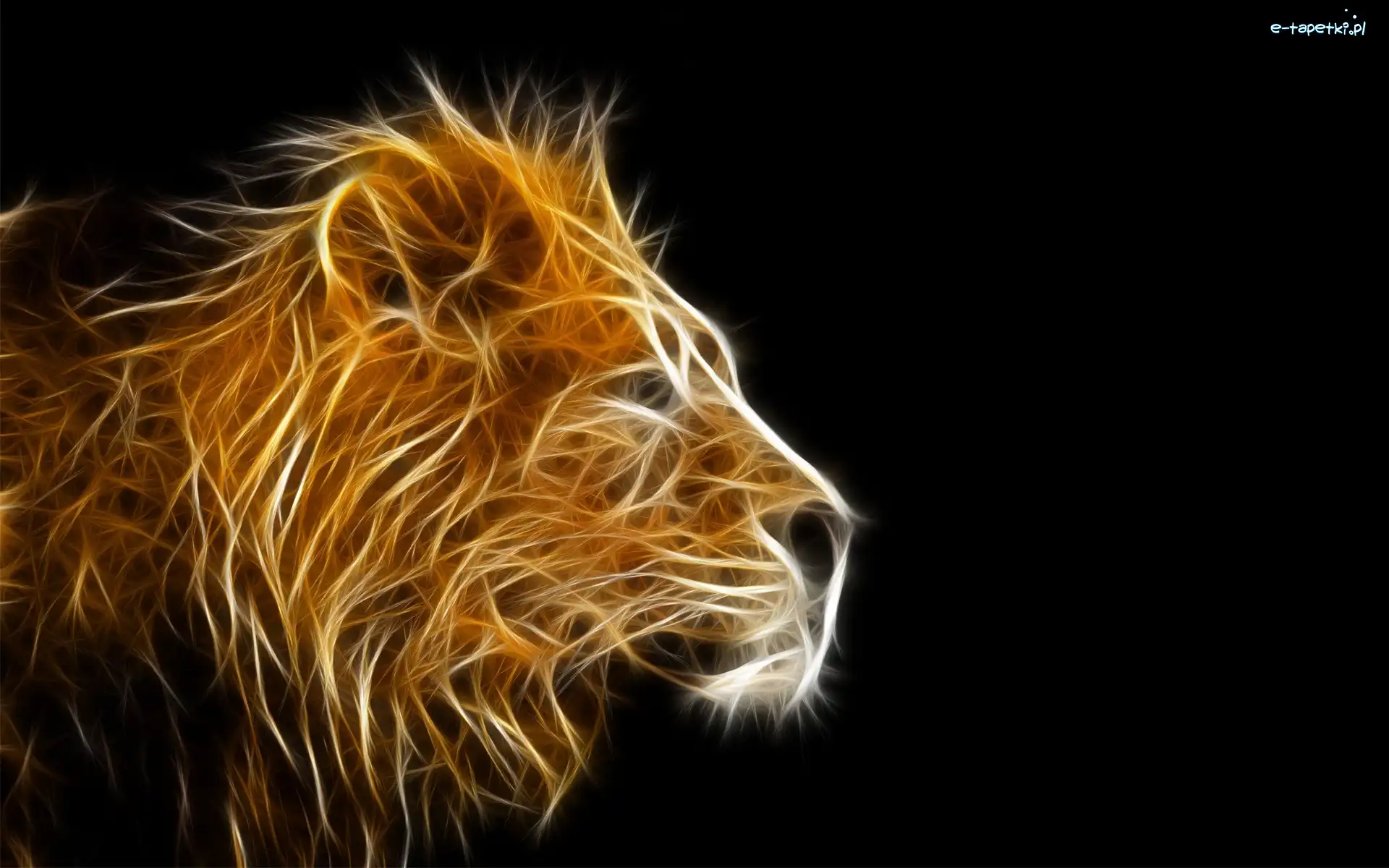 Fractalius, Lew
