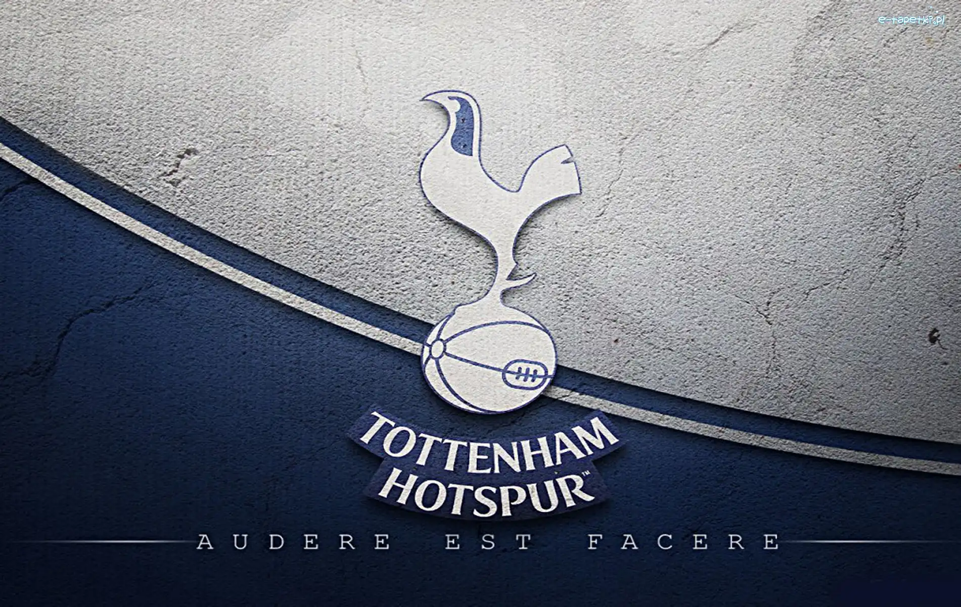 sport, piłka nożna, Tottenham Hotspur