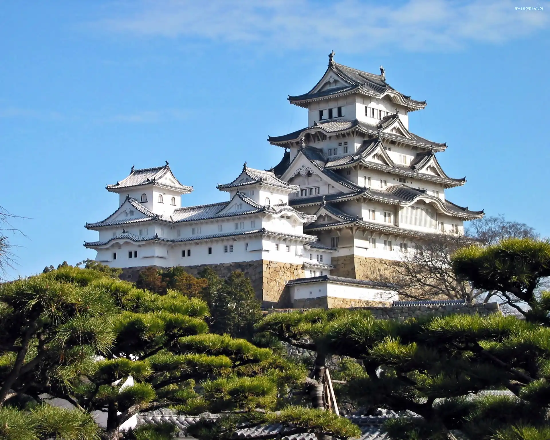 Zamek Białej Czapli, Sosny, Japonia, Zamek Himeji
