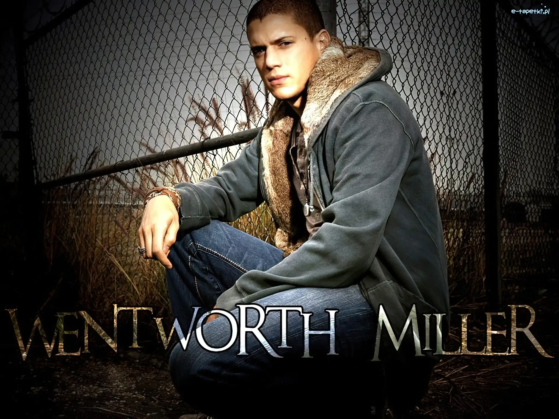 szara bluza, Wentworth Miller