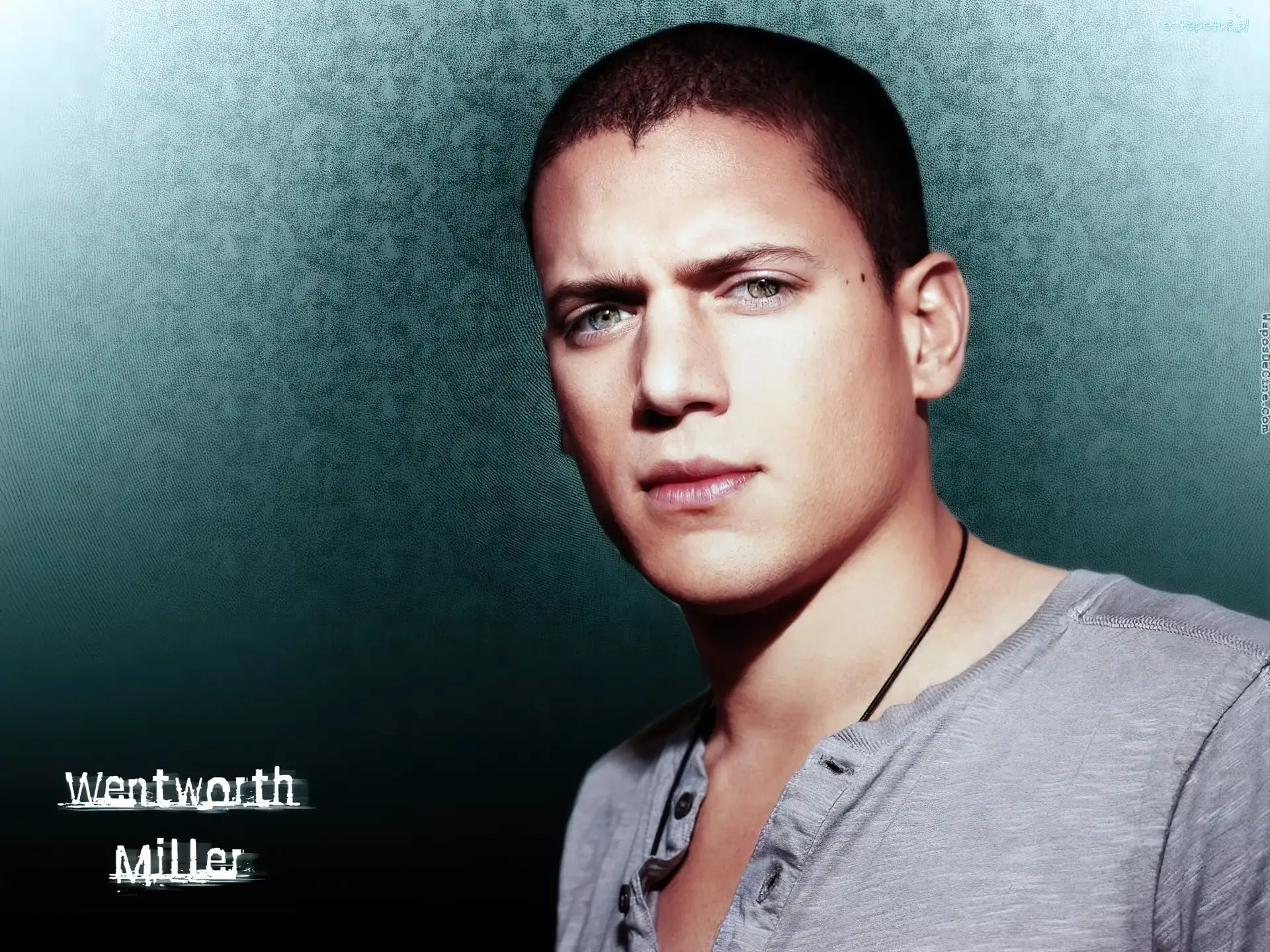 szara koszulka, Wentworth Miller