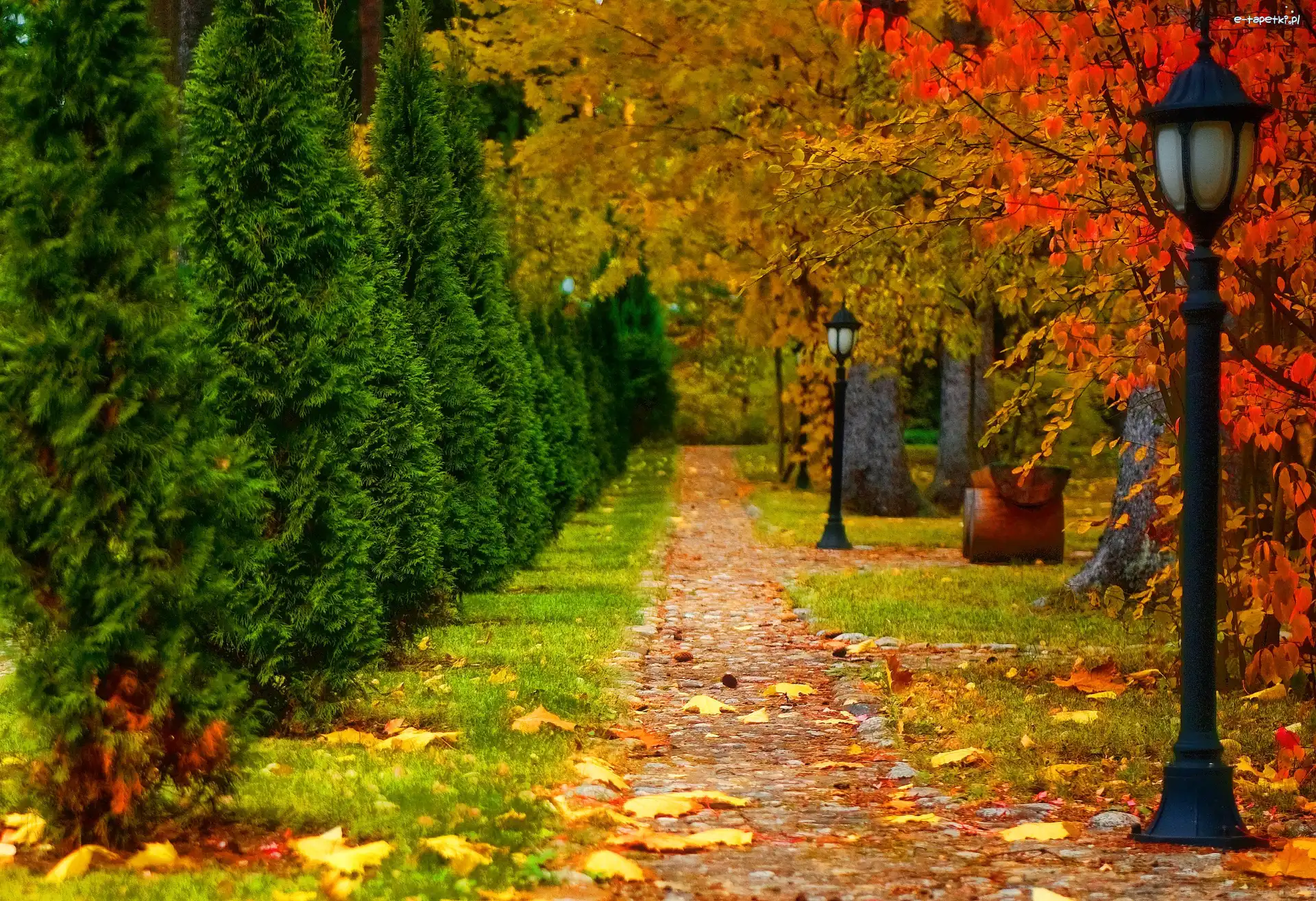 Park, Latarnie, Ścieżka, Jesień