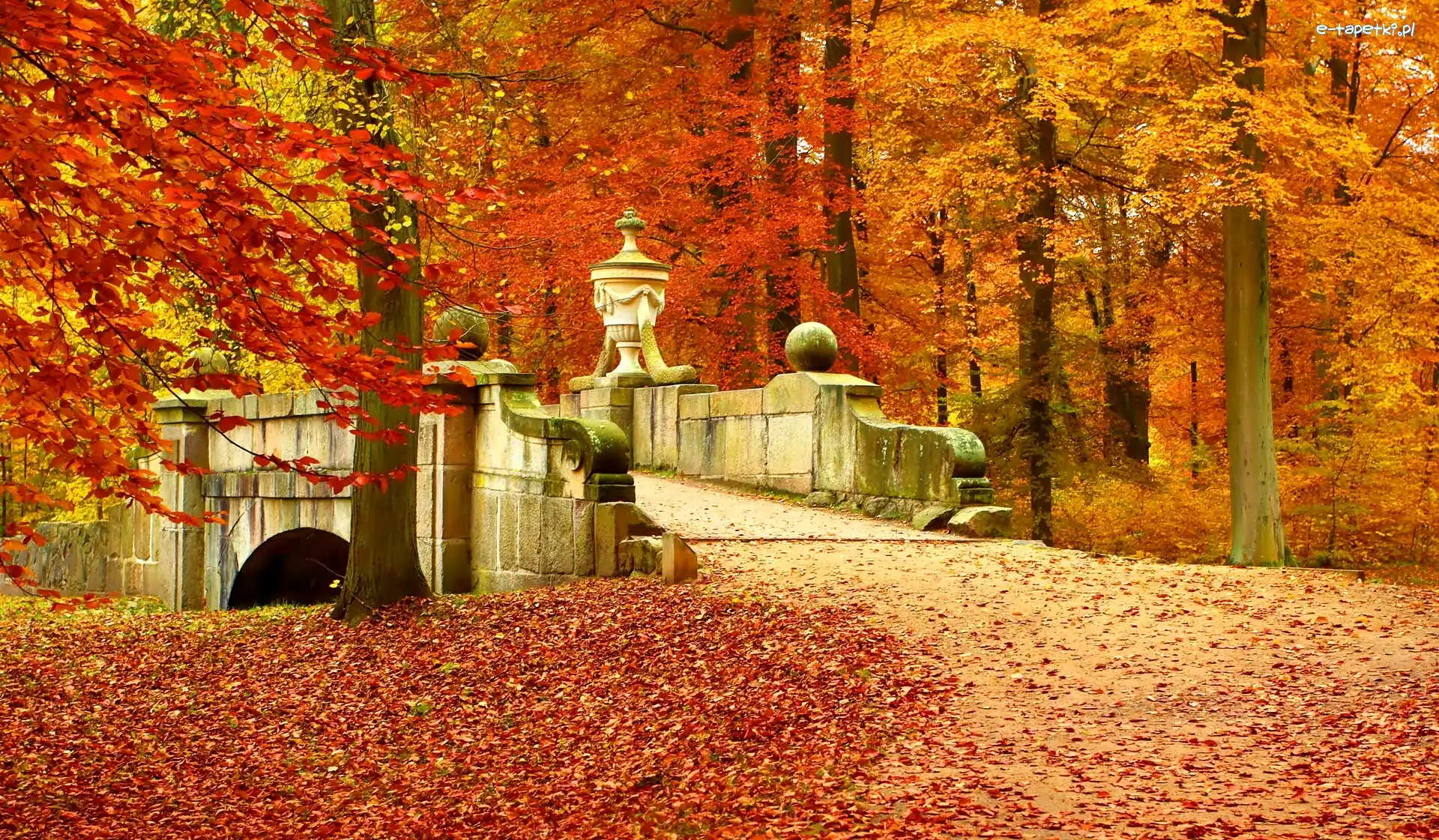 Park, Liście, Mostek, Jesień