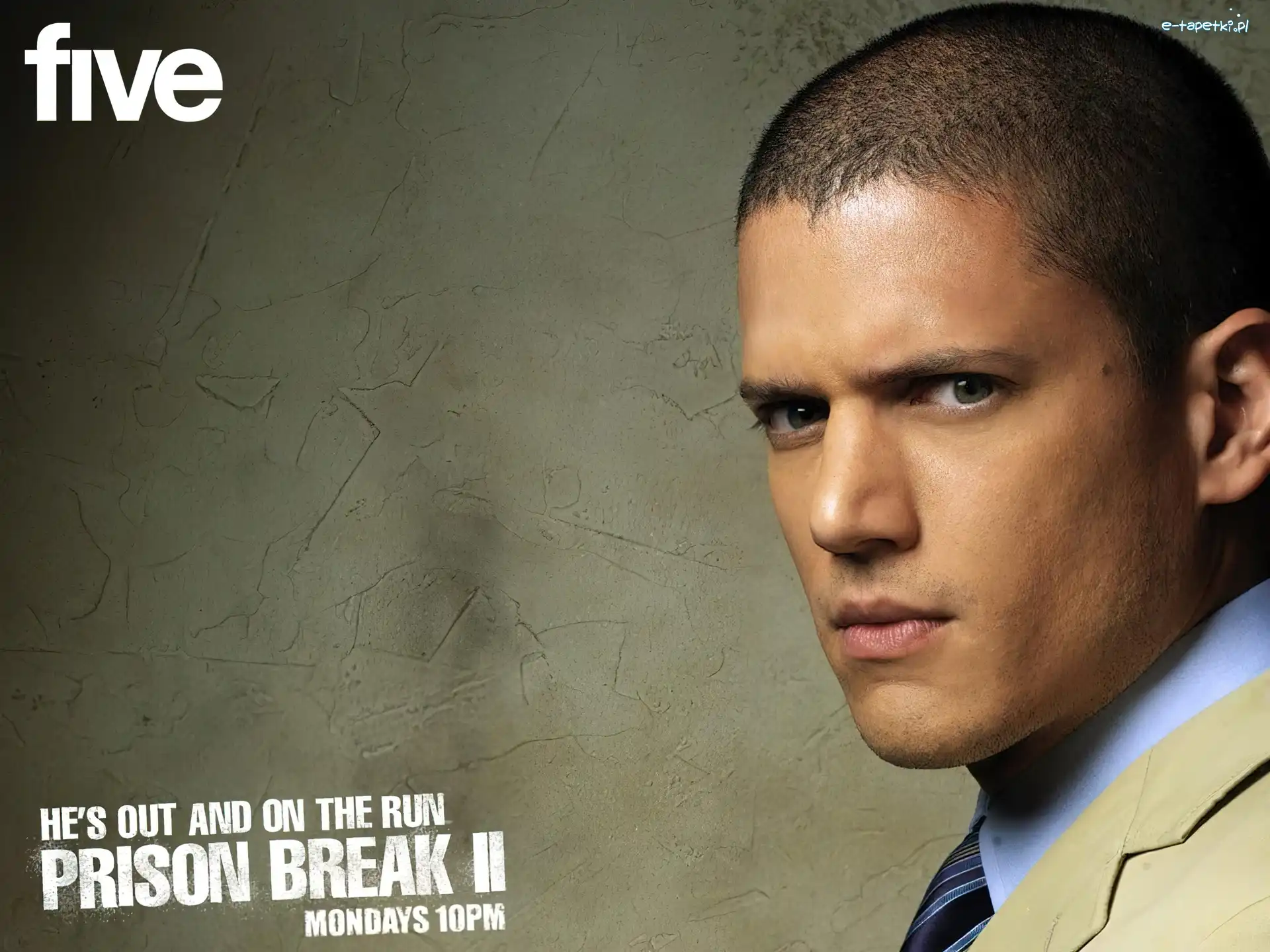 niebieska koszula, Wentworth Miller