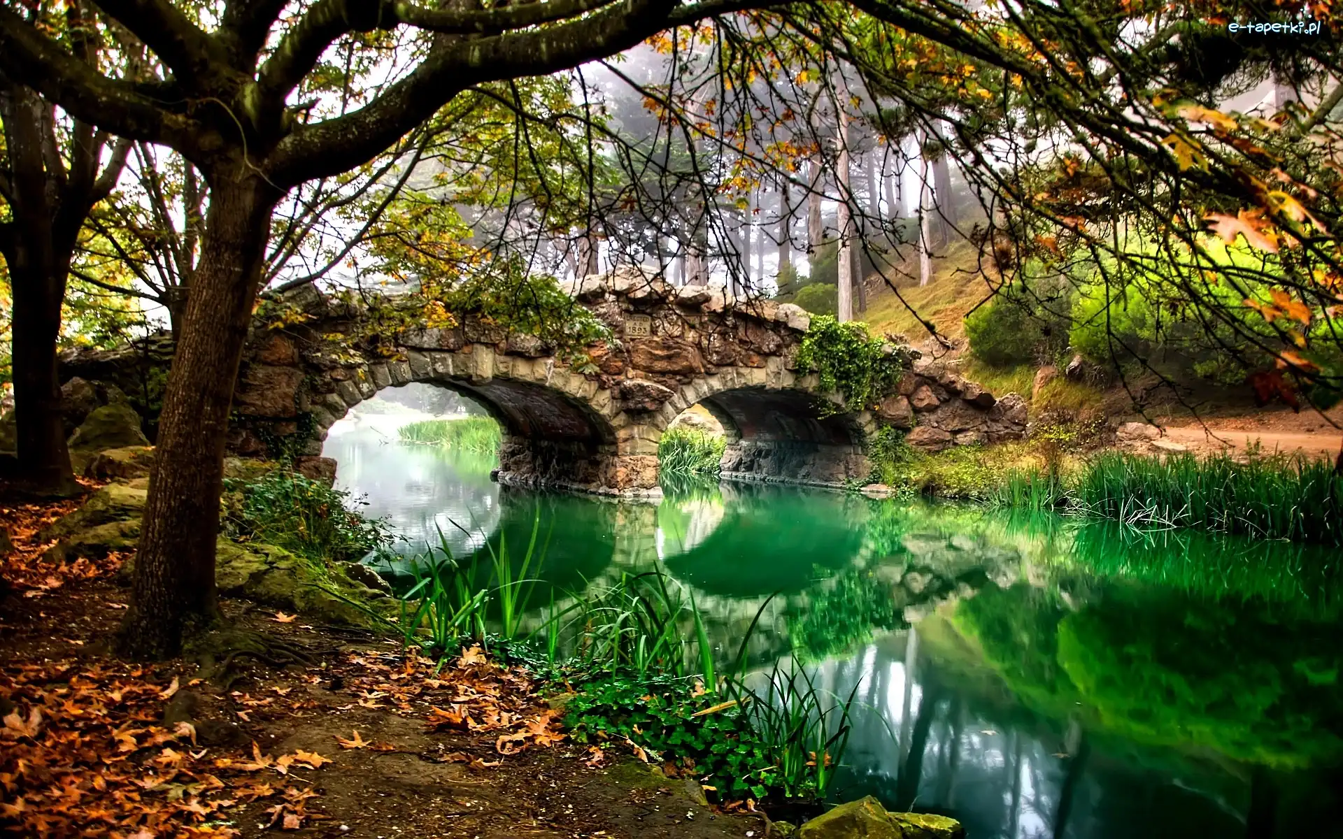 Jesień, Park Golden Gate, Rzeka, San Francisco, Stany Zjednoczone, Drzewa, Most