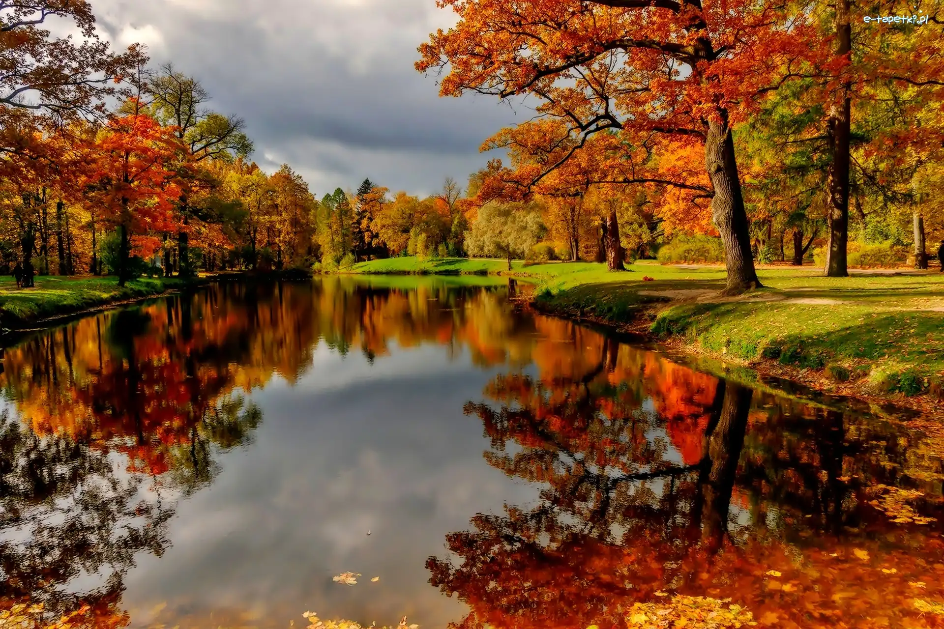Staw, Park, Jesień