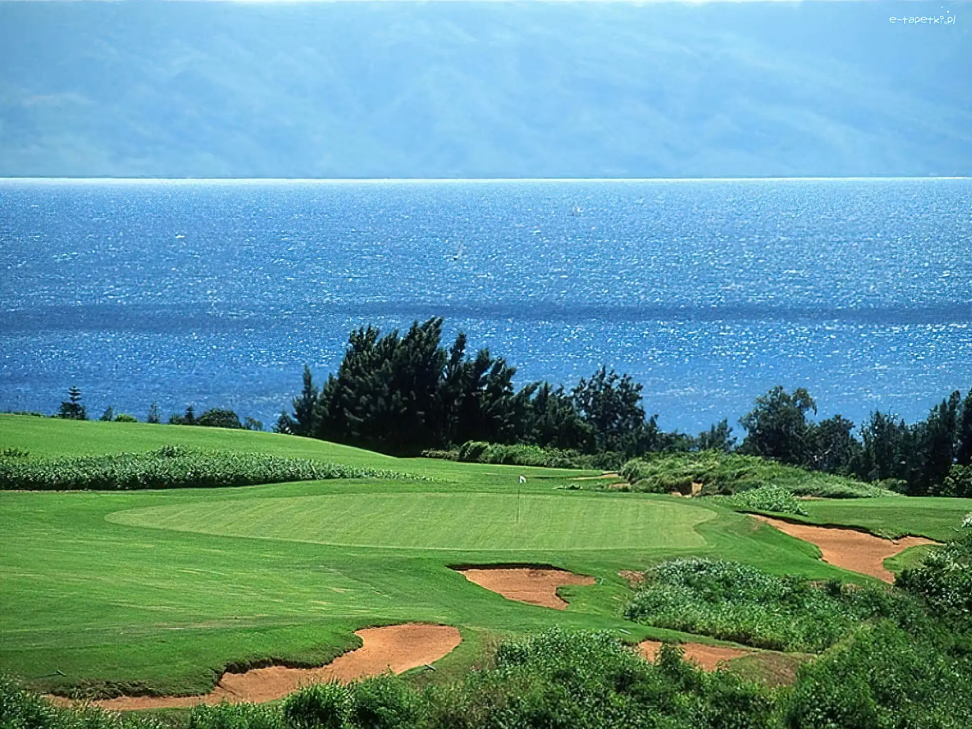 pole golfowe, Sportowe Golf