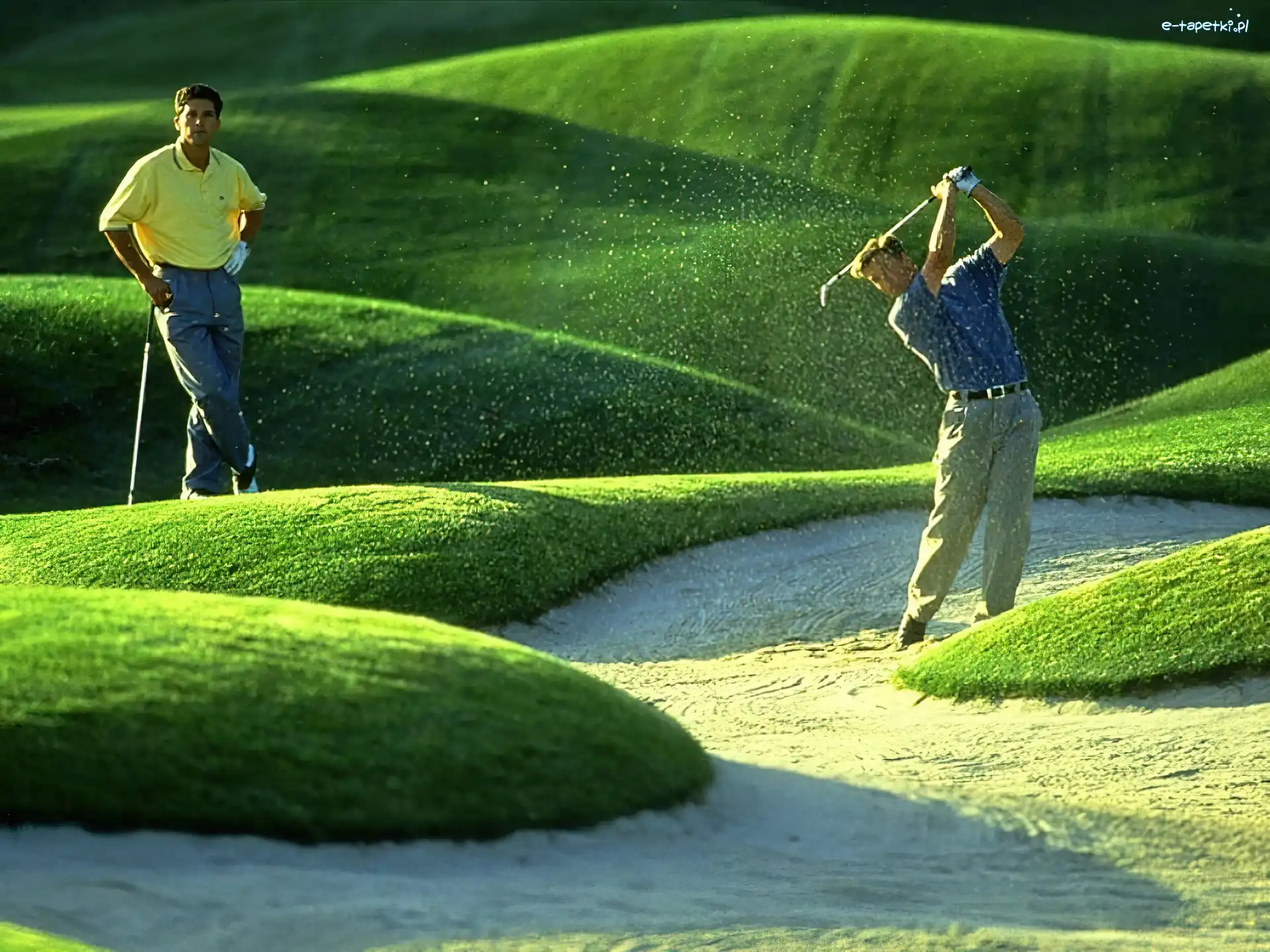 golfiści, pole golfowe, Sportowe Golf