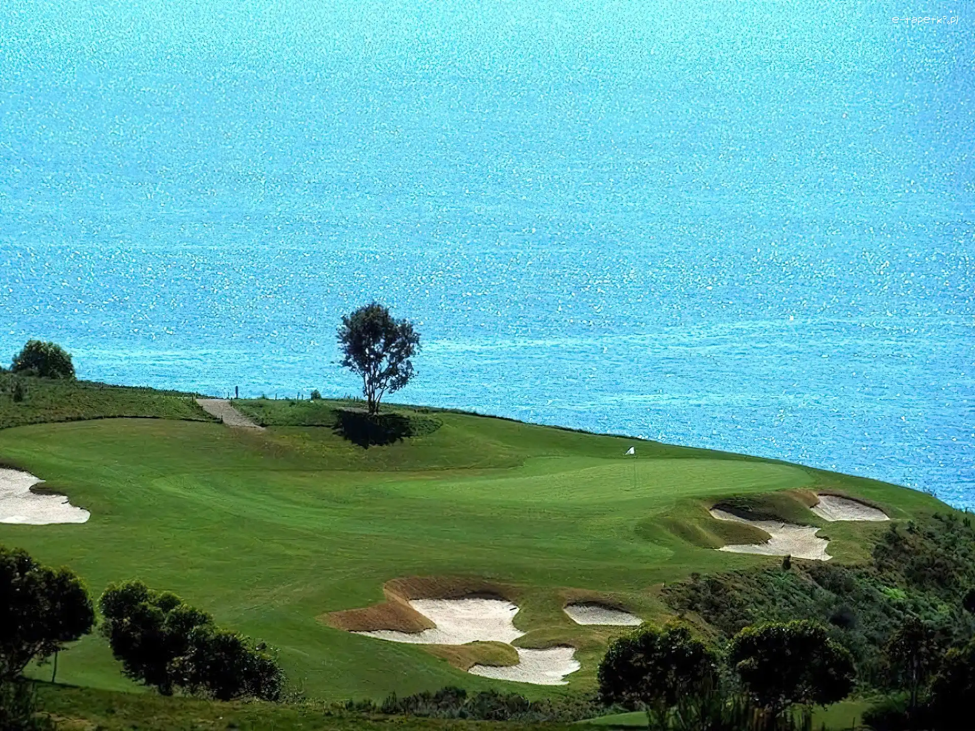 morze, pole golfowe , Sportowe Golf