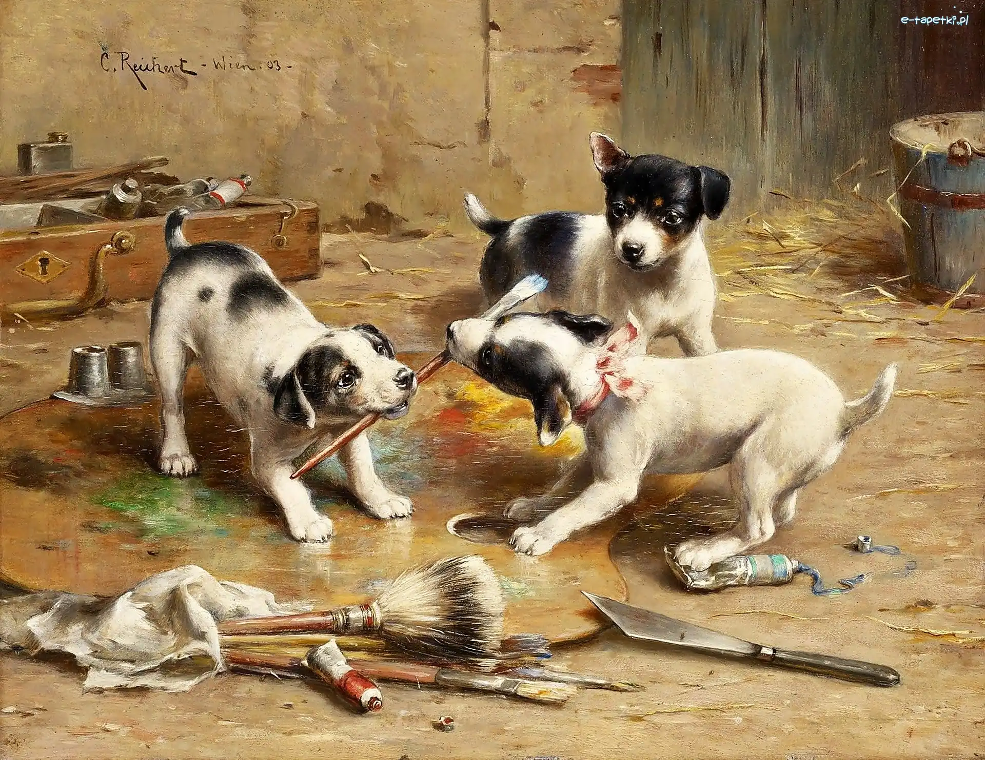 Szczeniaki, Reichert, Carl
