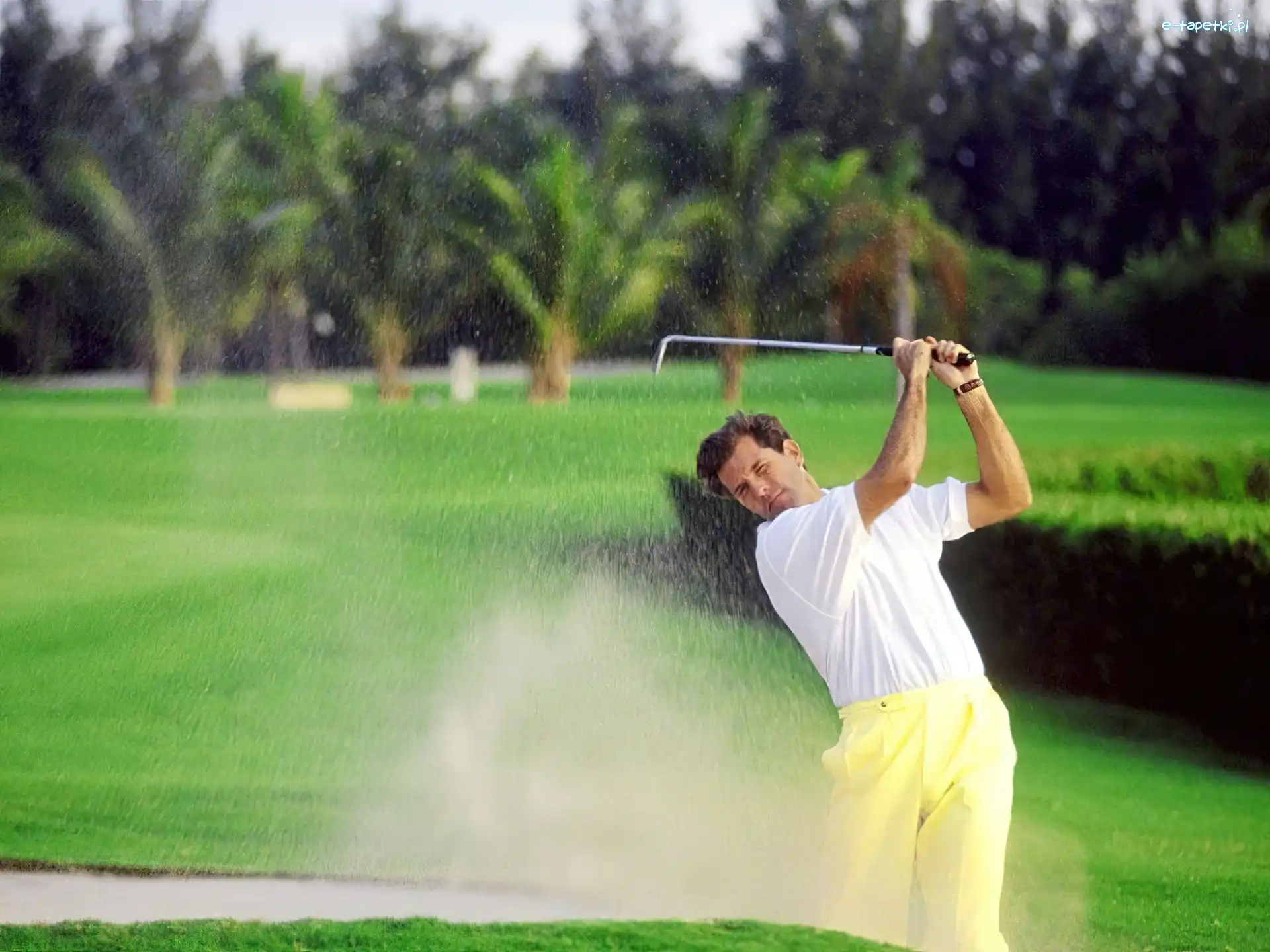 golfista, Sportowe Golf