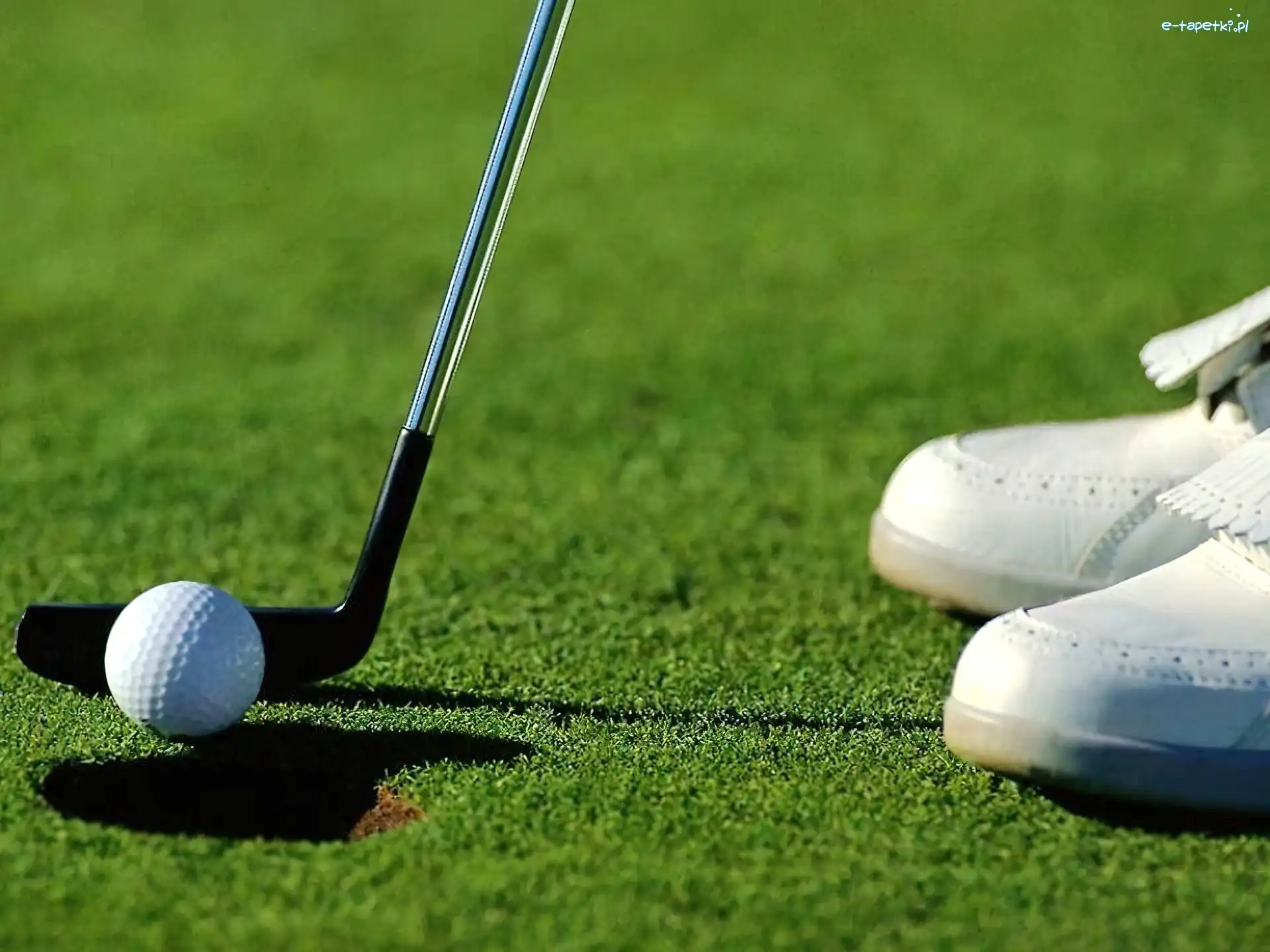 kij golfowy, piłka do golfa , Sportowe Golf