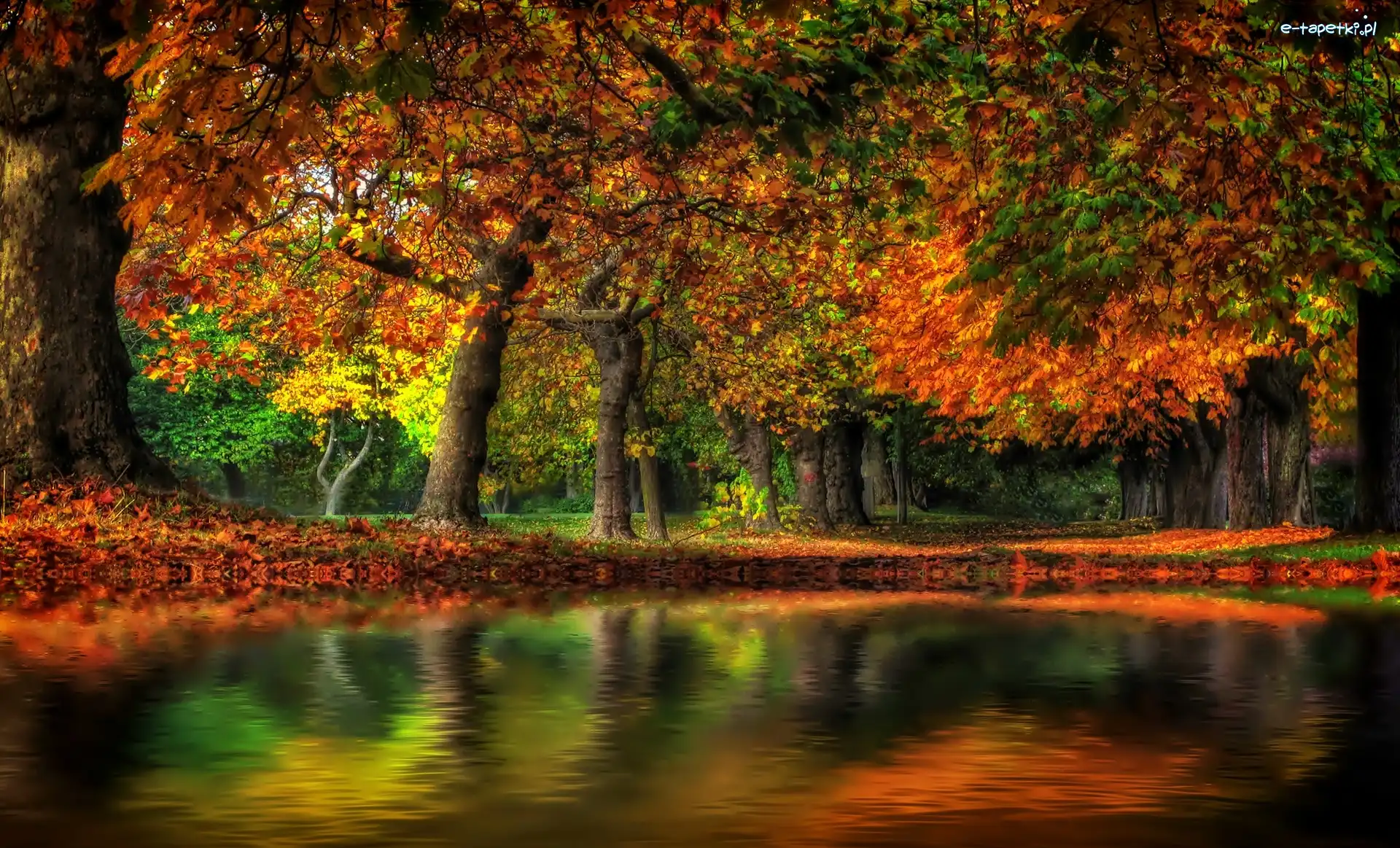 Staw, Park, Jesień
