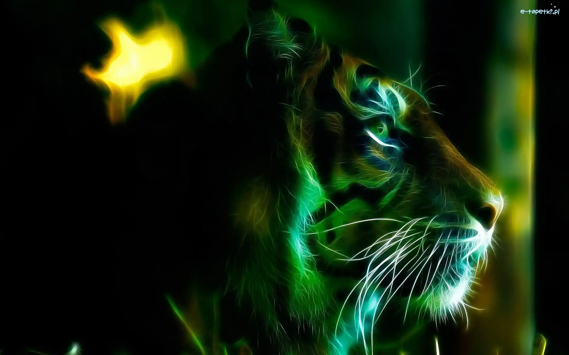 Tygrys, Fractalius