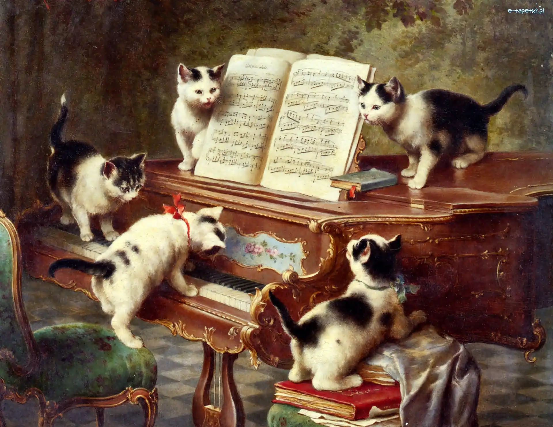 Koci, Obraz, Recital, Carl Reichert