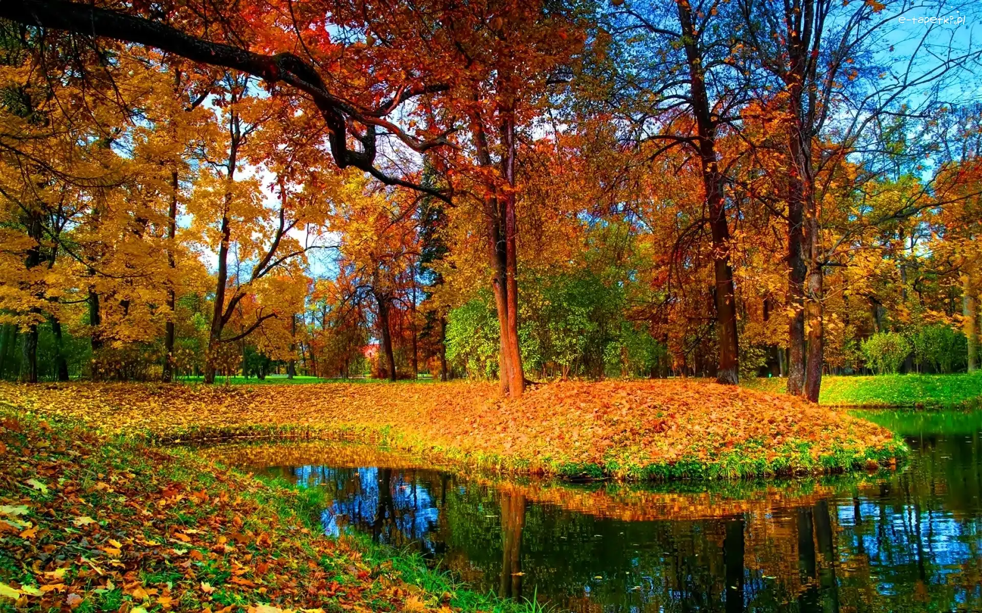 Staw, Park, Jesień